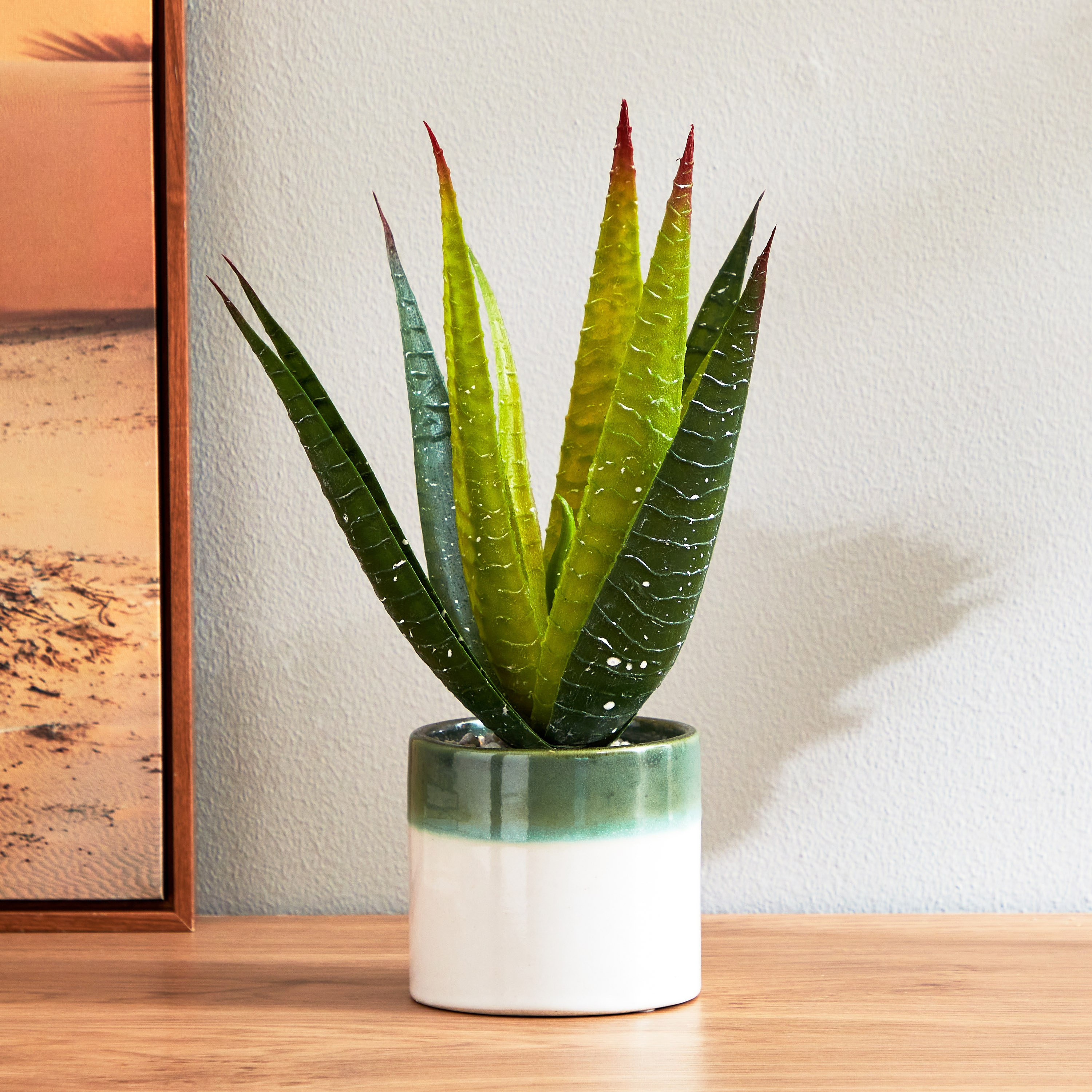 نبات الصبار داخل إناء زرع سيراميك من سيرينا - 30 سم-hbxdecorandfurnishings-homeaccessories-artificialflowersandplants-image-1