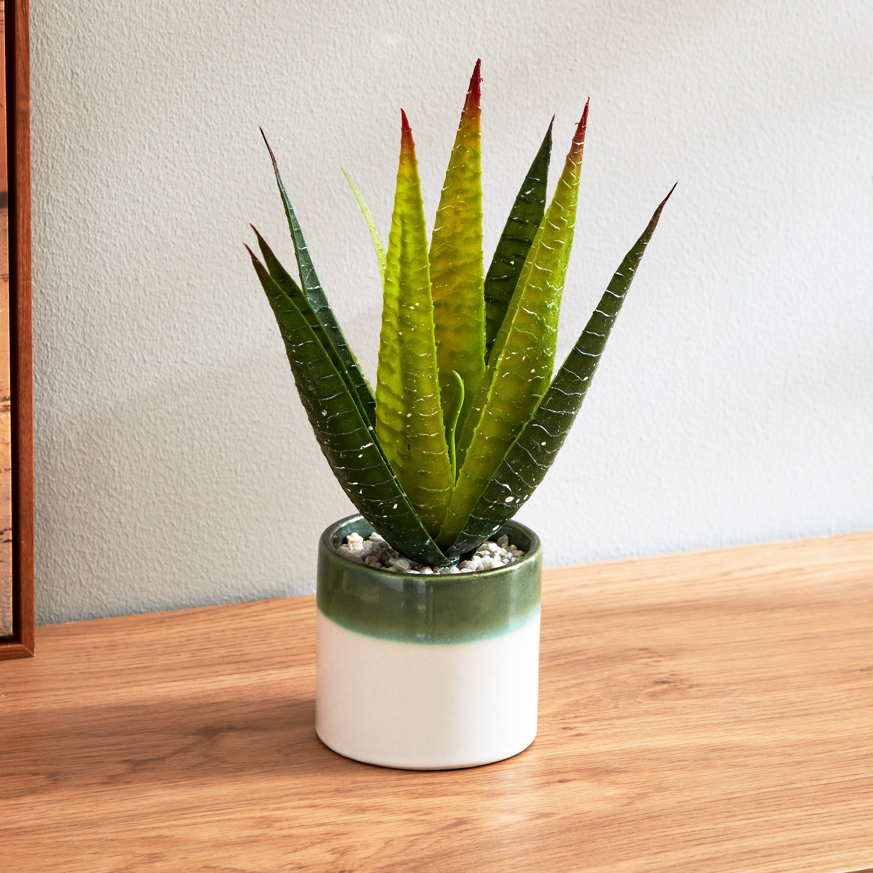 نبات الصبار داخل إناء زرع سيراميك من سيرينا - 30 سم-hbxdecorandfurnishings-homeaccessories-artificialflowersandplants-image-2