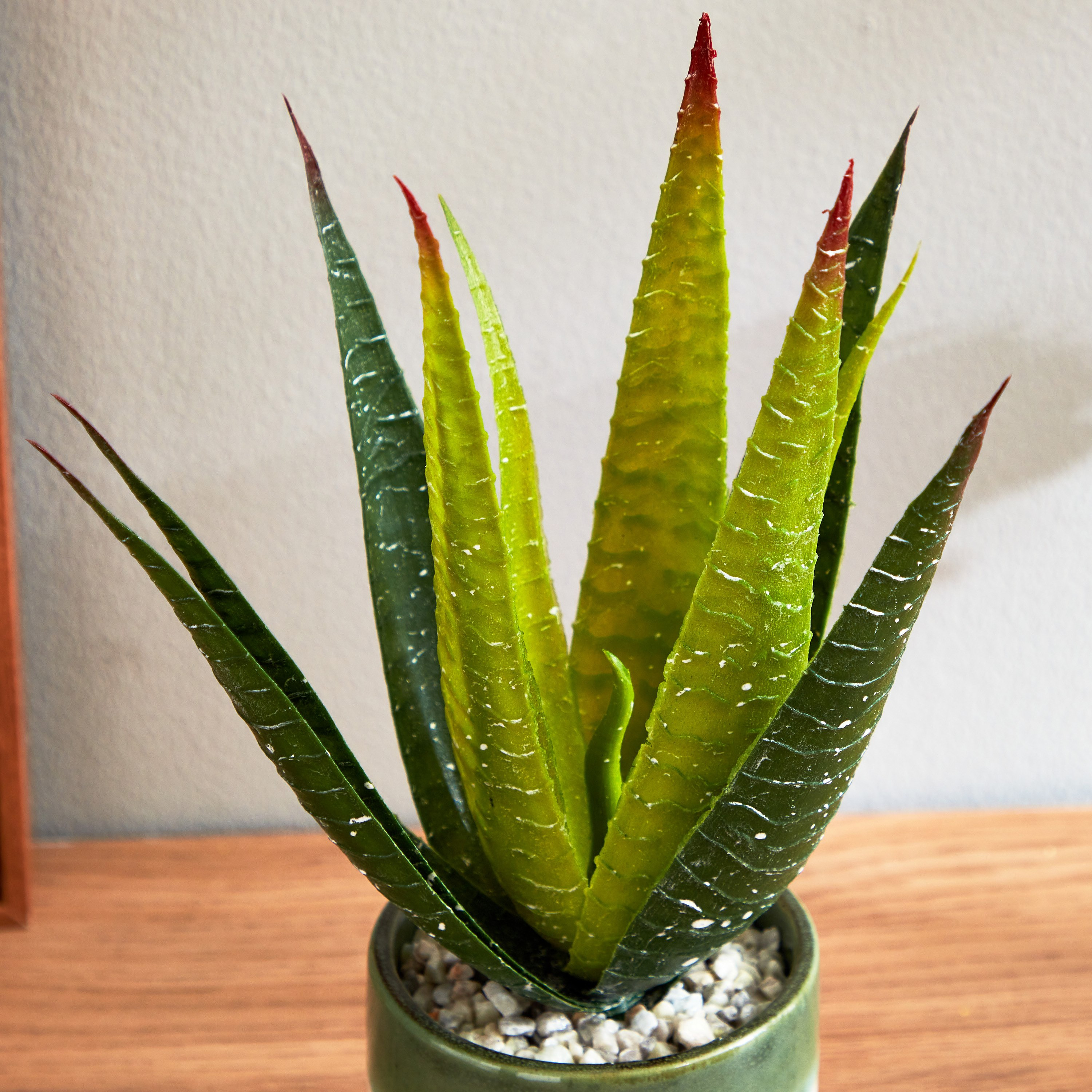 نبات الصبار داخل إناء زرع سيراميك من سيرينا - 30 سم-hbxdecorandfurnishings-homeaccessories-artificialflowersandplants-image-3