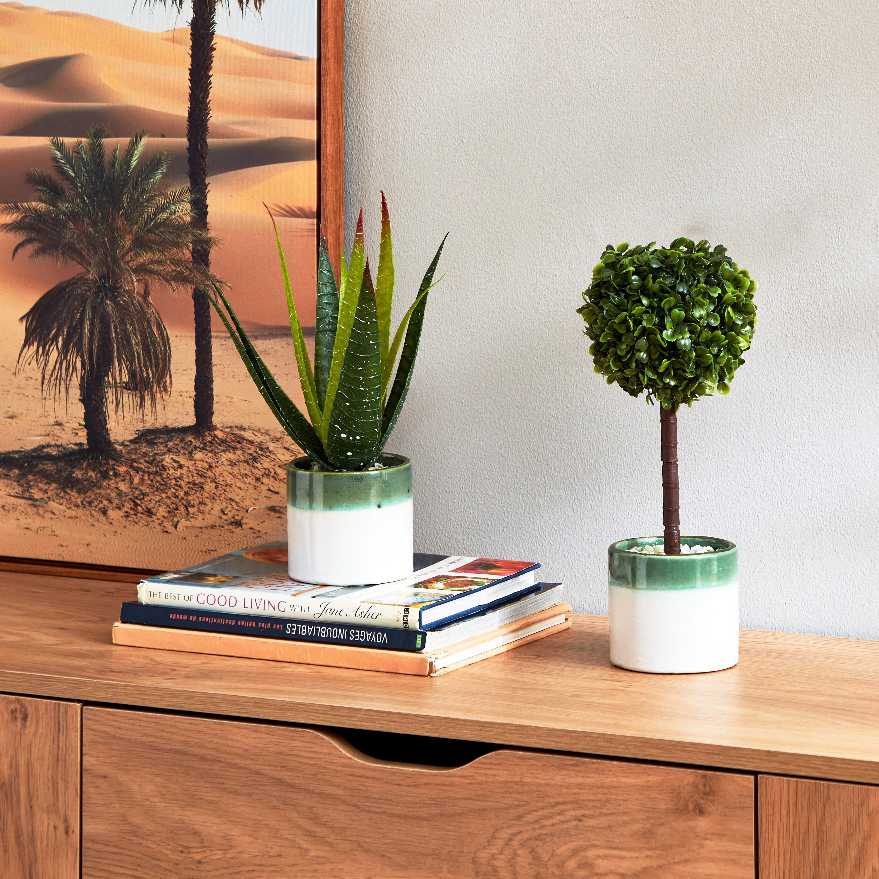 نبات الصبار داخل إناء زرع سيراميك من سيرينا - 30 سم-hbxdecorandfurnishings-homeaccessories-artificialflowersandplants-image-4