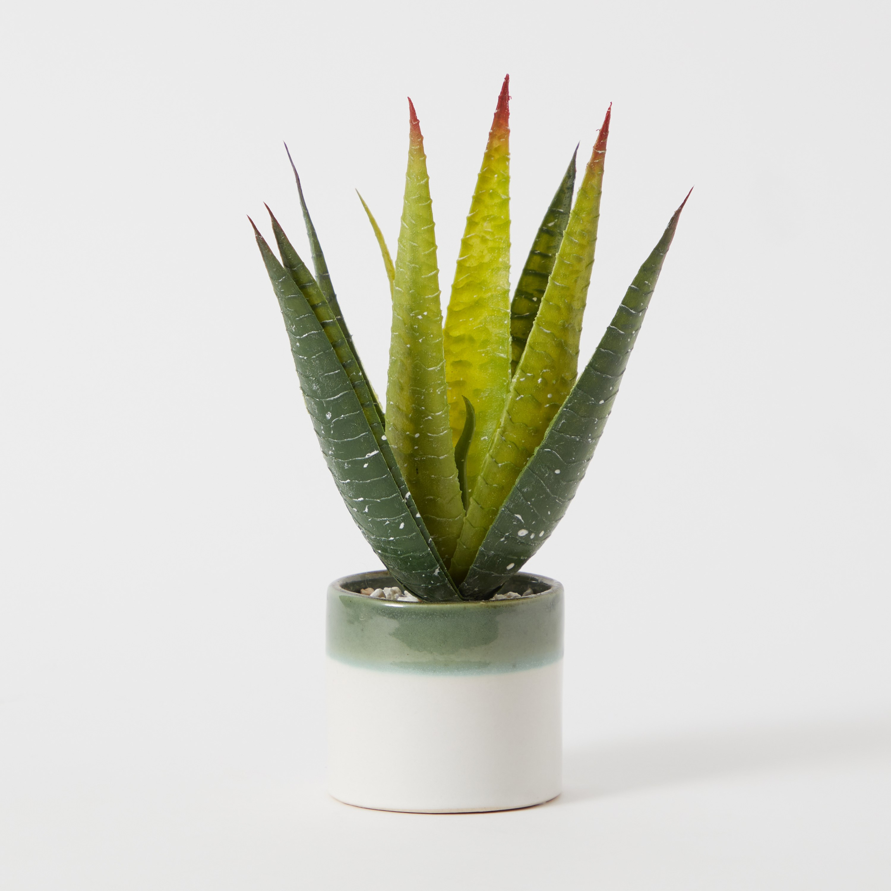 نبات الصبار داخل إناء زرع سيراميك من سيرينا - 30 سم-hbxdecorandfurnishings-homeaccessories-artificialflowersandplants-image-5