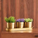 Ace Metal Planter with Tray - Set of 4-Planters and Urns-thumbnail-0