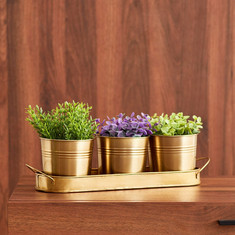 Ace Metal Planter with Tray - Set of 4