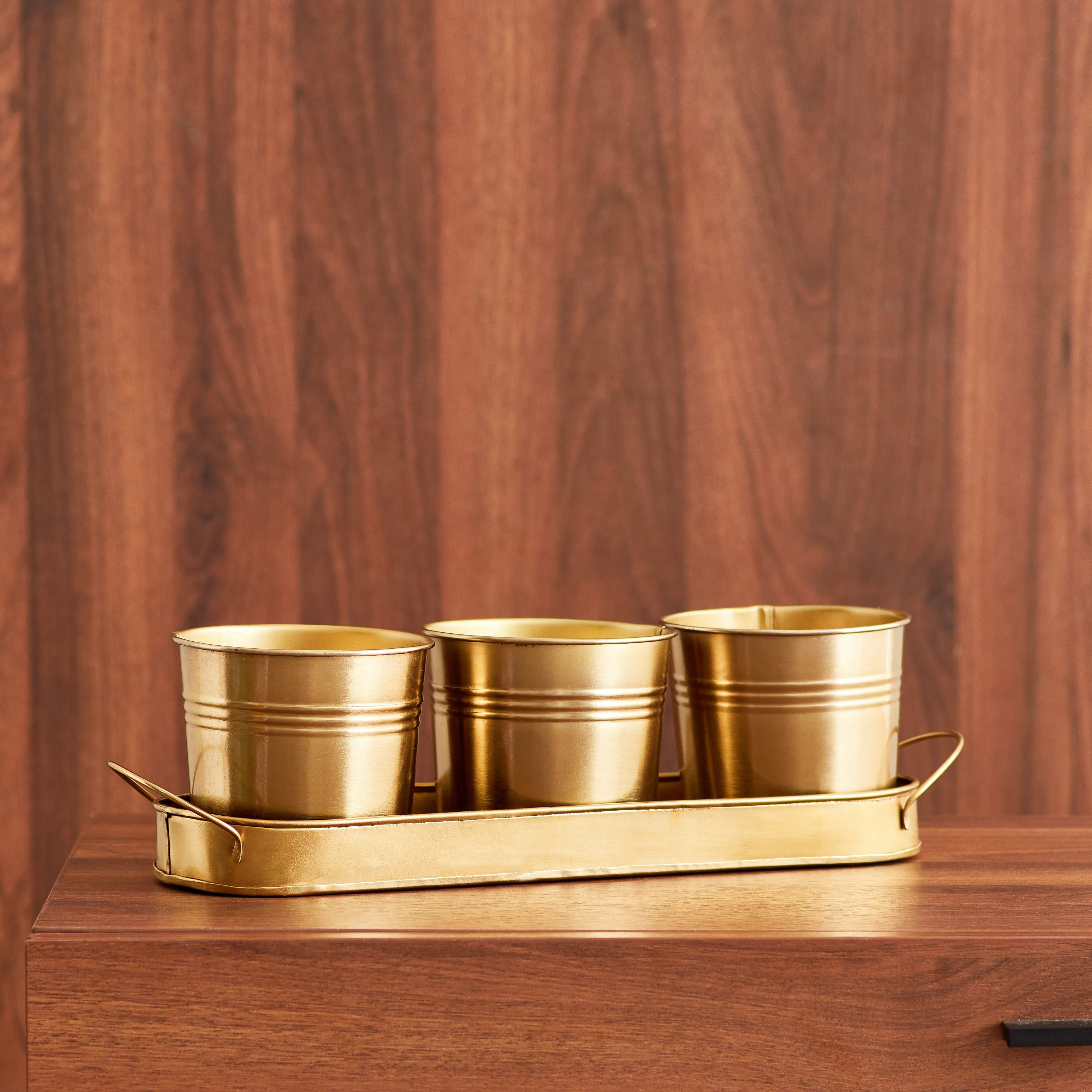 Ace Metal Planter with Tray - Set of 4-hbxhomeware-hbxdecorandfurnishings-image-2