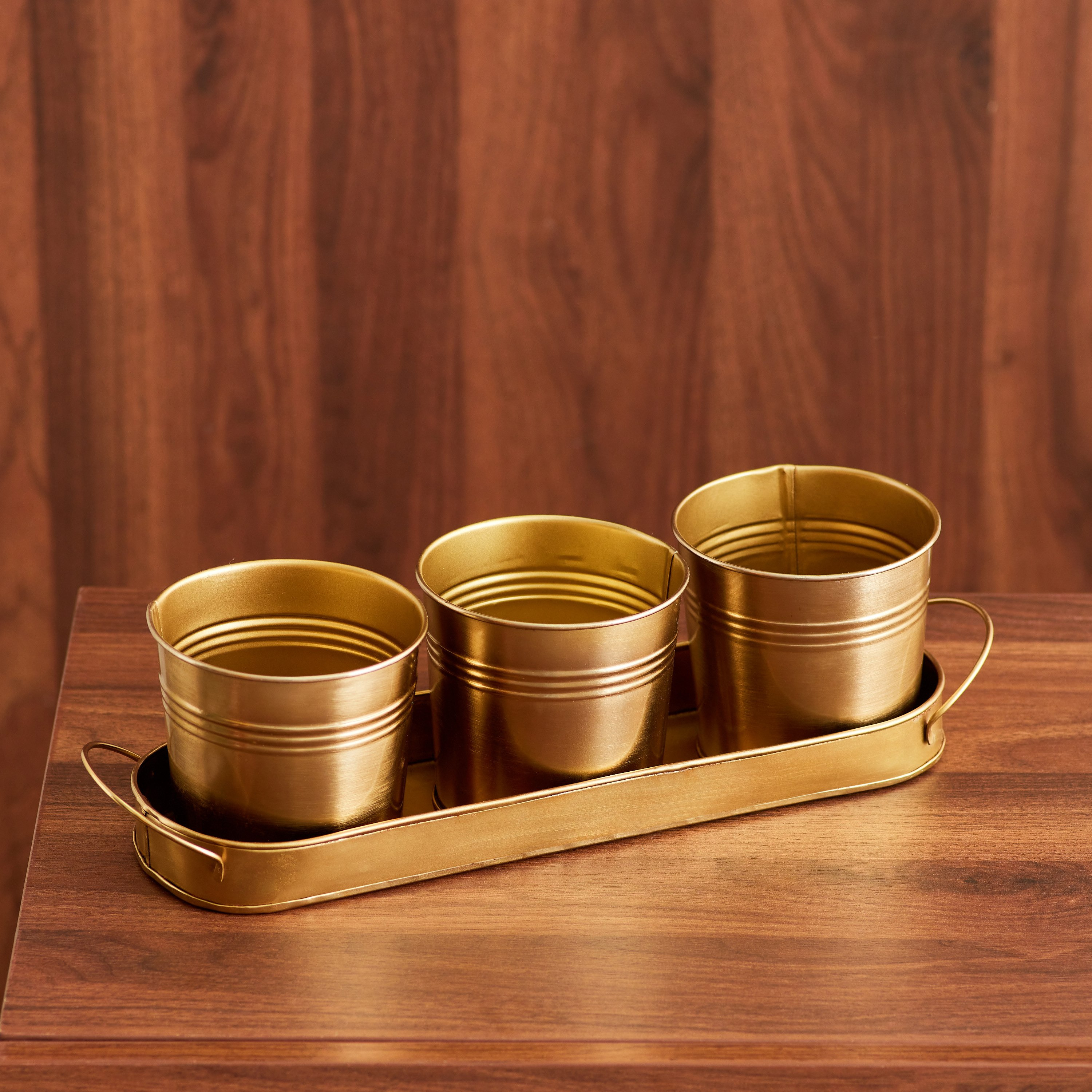 Ace Metal Planter with Tray - Set of 4-hbxhomeware-hbxdecorandfurnishings-image-3