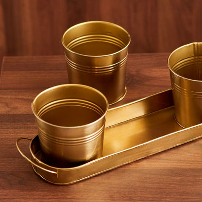 Ace Metal Planter with Tray - Set of 4