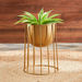 Ace Metal Wired Planter - 38 cm-Planters and Urns-thumbnailMobile-0
