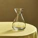 Atlanta Clear Glass Vase - 12x20 cm-Vases-thumbnailMobile-1