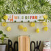Hola 10-LED Lemon String Lights - 165 cm-Decoratives and String Lights-thumbnail-0