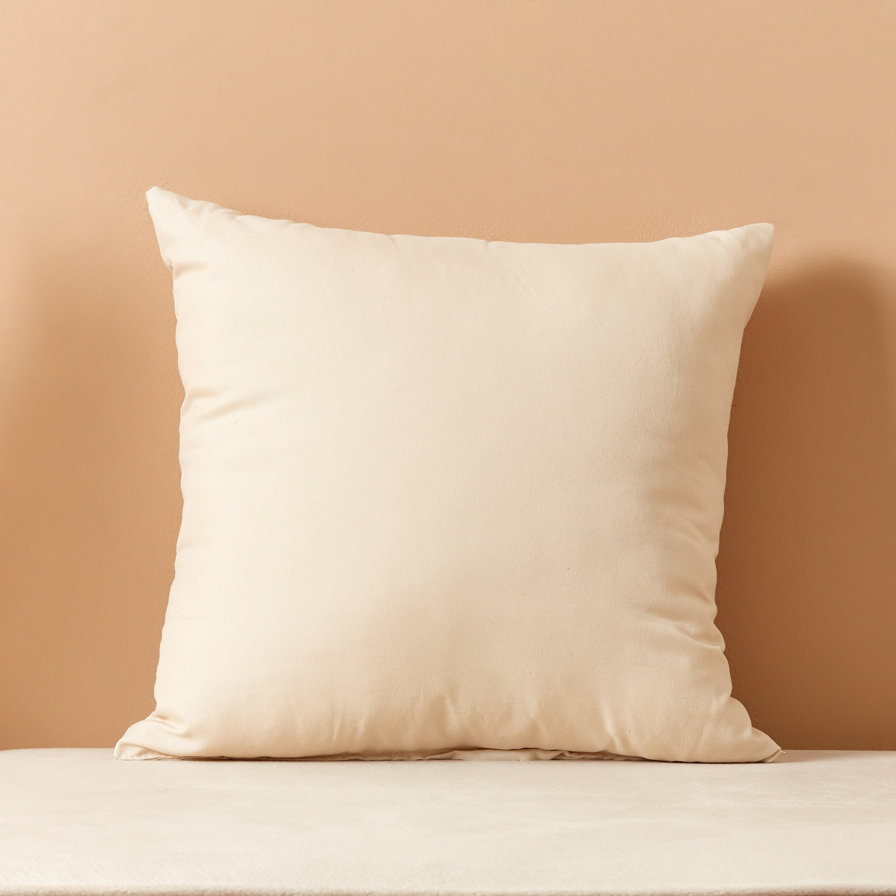 وسادة محشوة ألياف دقيقة من أكسيس - 40x40 سم-hbxlivingroom-furnishings-cushionsandcovers-filledcushions-image-1