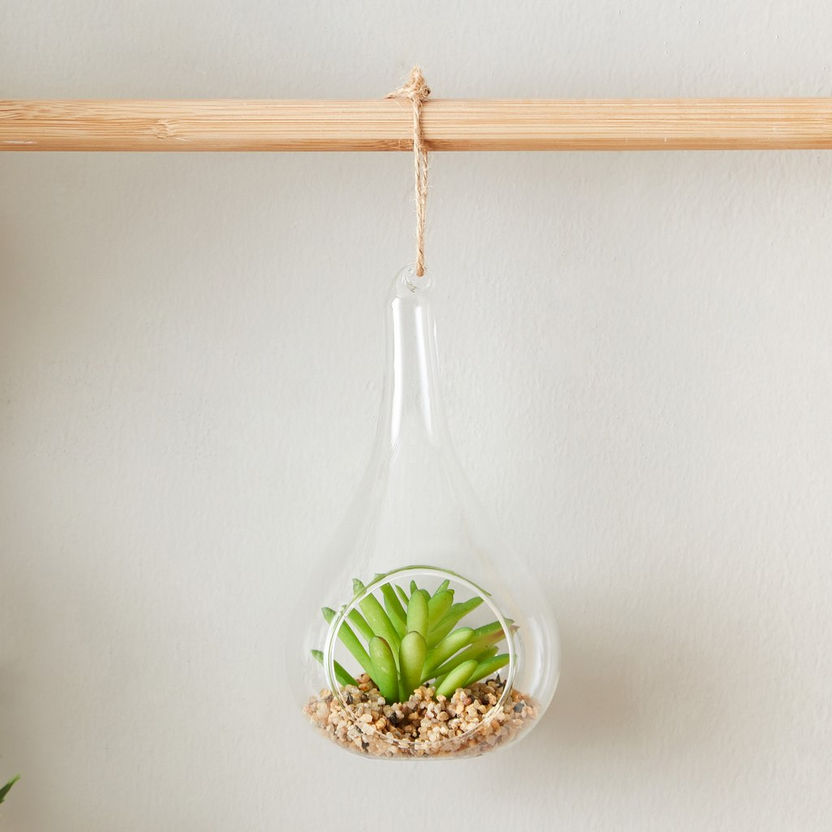 Lucy Transparent Hanging Planter with Succulent - 8x8x14 cm-Artificial Flowers and Plants-image-0