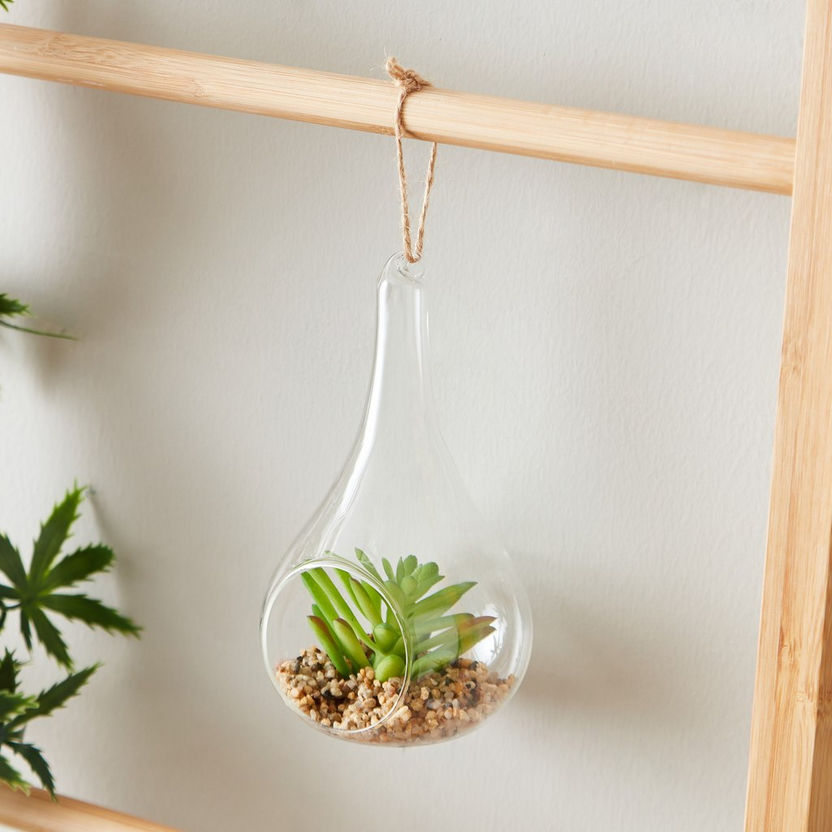 Lucy Transparent Hanging Planter with Succulent - 8x8x14 cm-Artificial Flowers and Plants-image-1