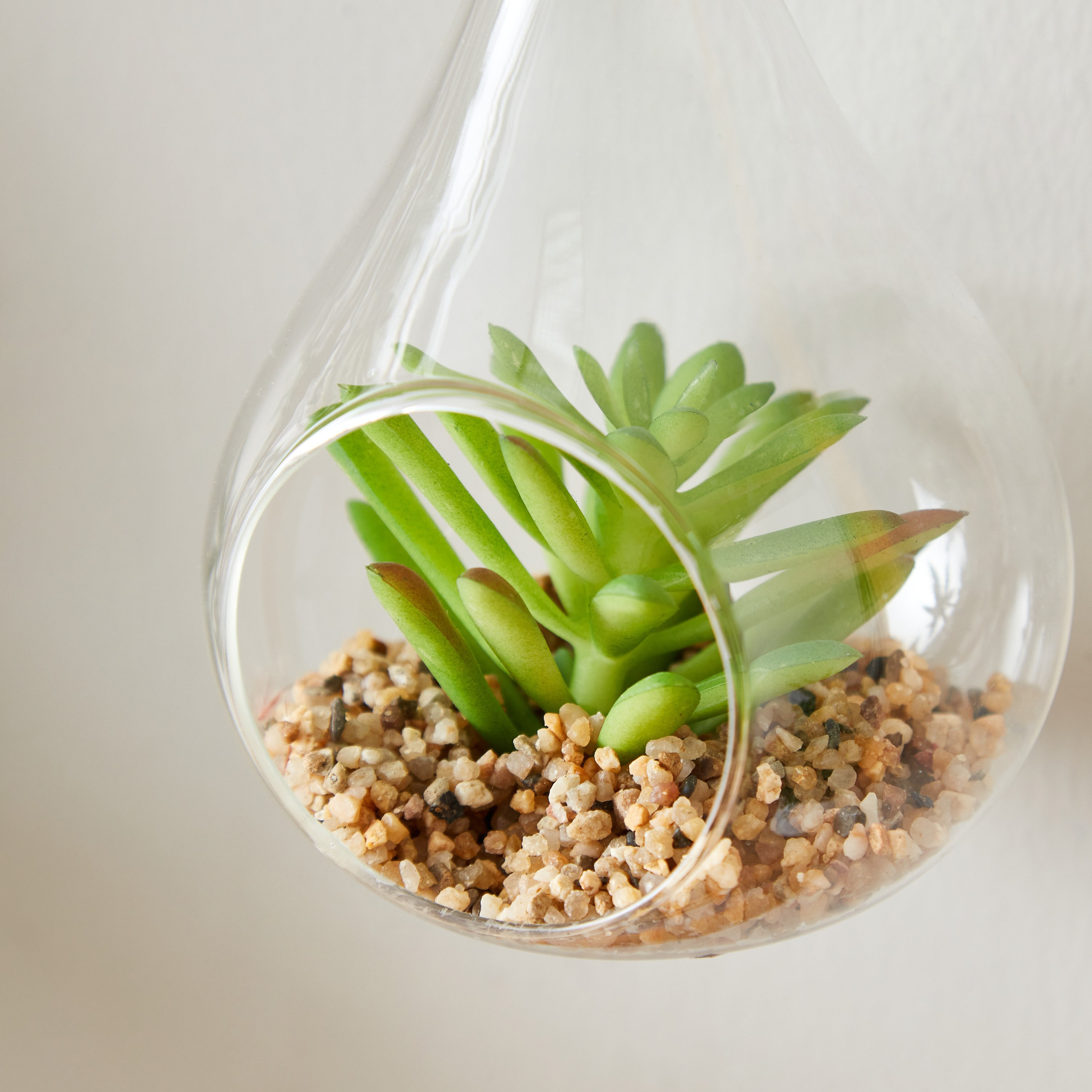 Lucy Transparent Hanging Planter with Succulent - 8x8x14 cm-hbxdecorandfurnishings-homeaccessories-artificialflowersandplants-image-4