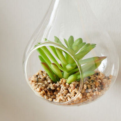 Lucy Transparent Hanging Planter with Succulent - 8x8x14 cms