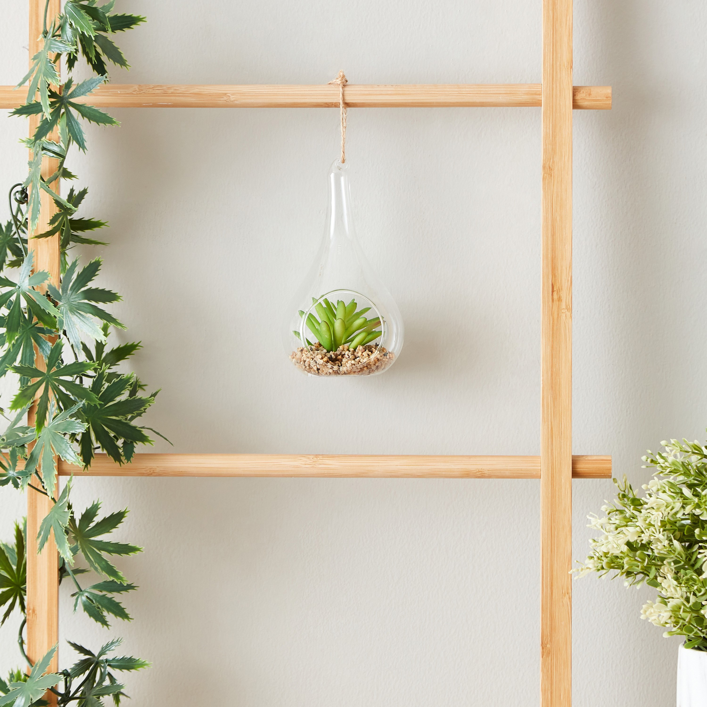 Lucy Transparent Hanging Planter with Succulent - 8x8x14 cm-hbxdecorandfurnishings-homeaccessories-artificialflowersandplants-image-5