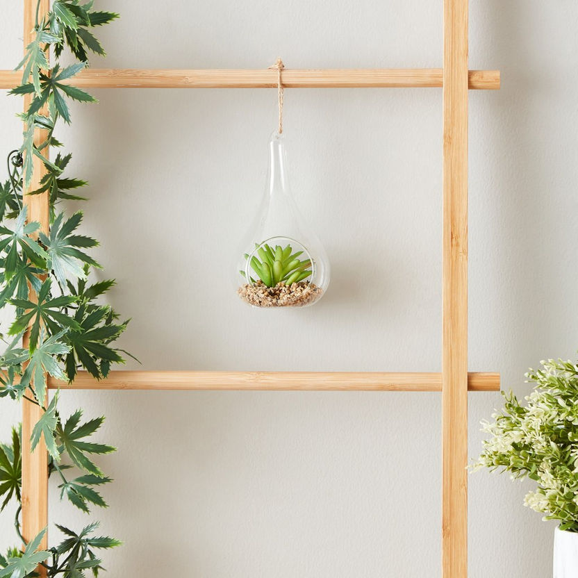 Lucy Transparent Hanging Planter with Succulent - 8x8x14 cm-Artificial Flowers and Plants-image-4