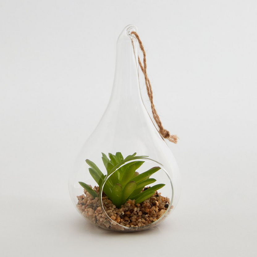 Lucy Transparent Hanging Planter with Succulent - 8x8x14 cm-Artificial Flowers and Plants-image-5