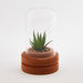 Lucy Terrarium Dome - 10x10x16 cm-Figurines and Ornaments-thumbnail-4