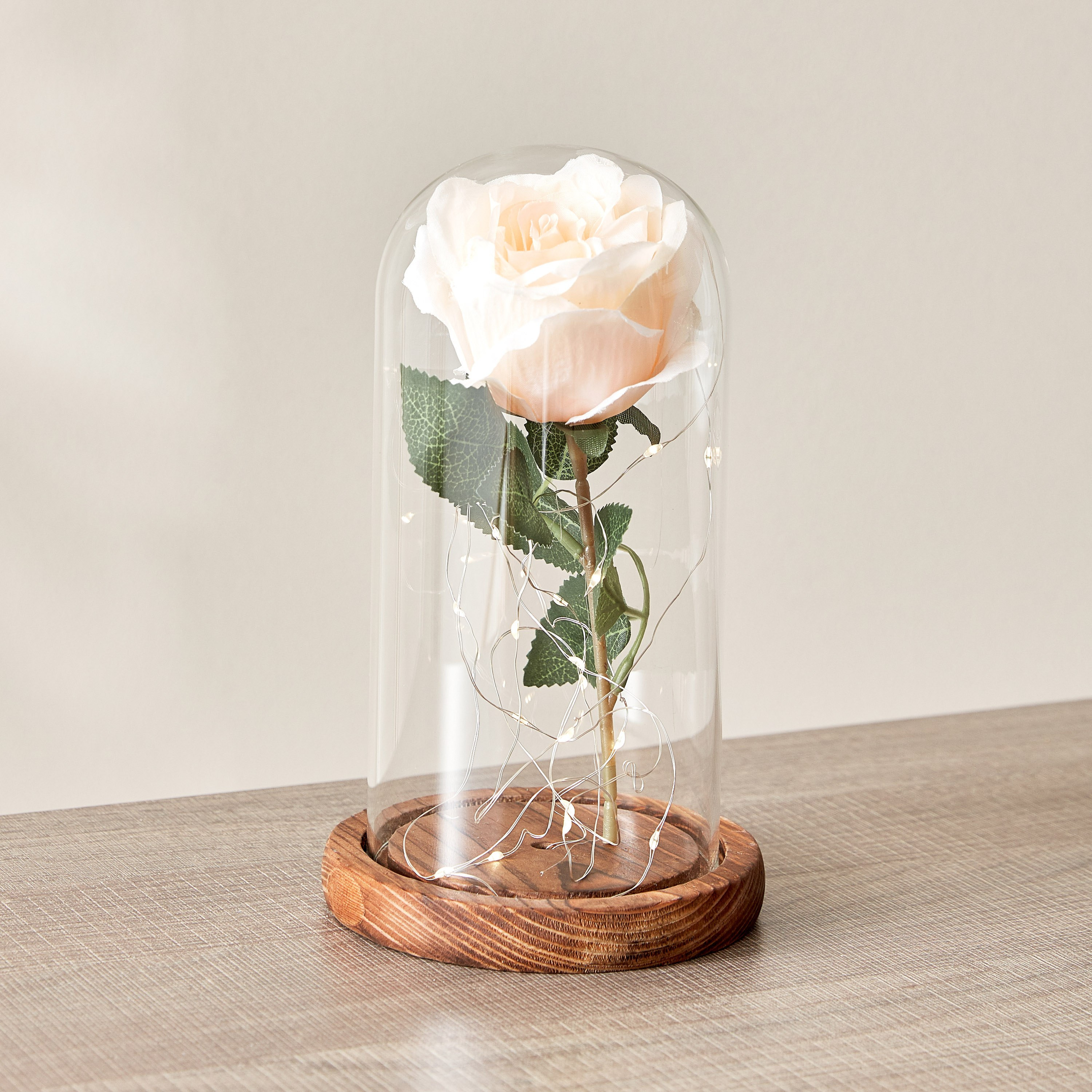 قبة بأضواء من لوسي - 12x12x22 سم-hbxhomeware-homedecor-figurinesandornaments-image-2