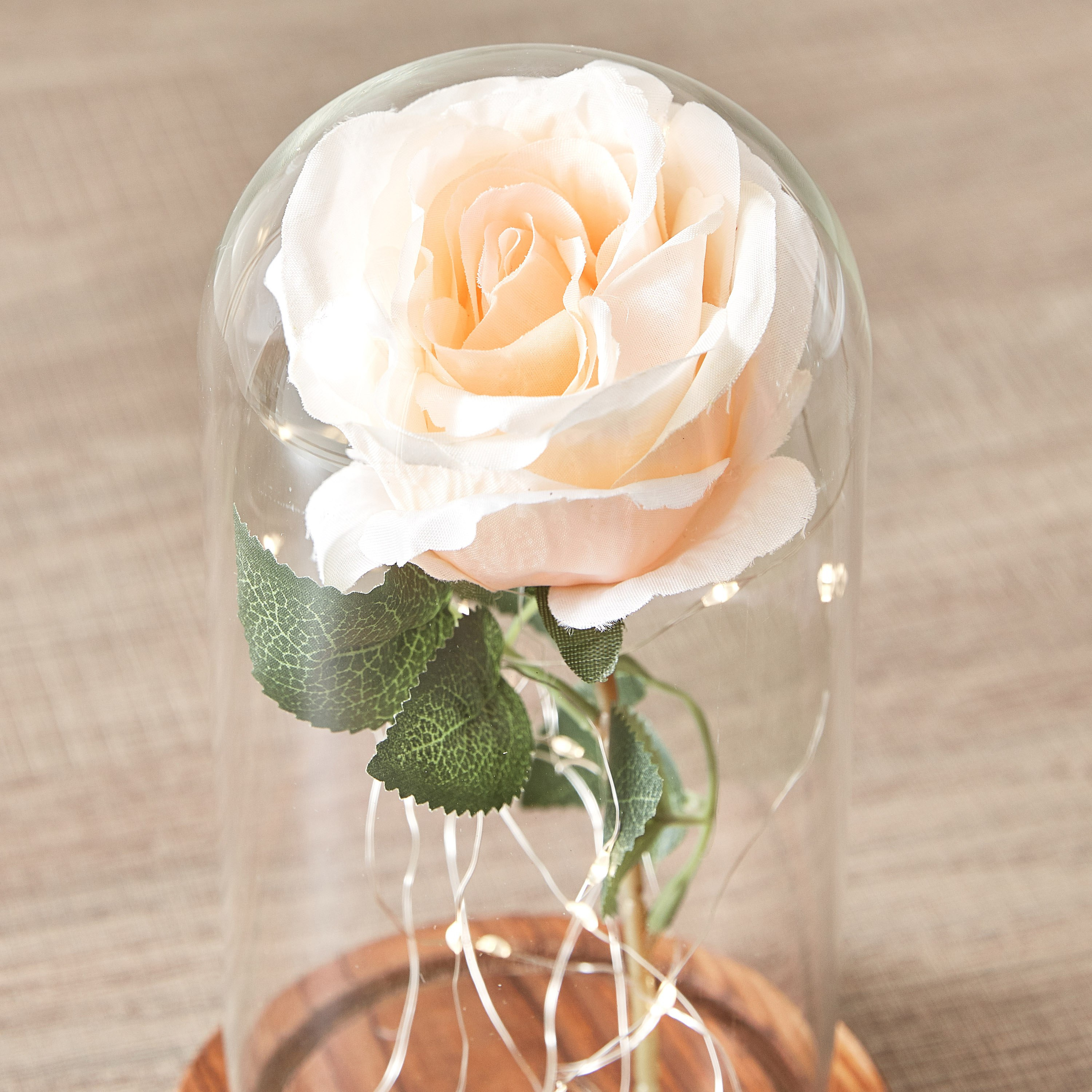 قبة بأضواء من لوسي - 12x12x22 سم-hbxhomeware-homedecor-figurinesandornaments-image-3