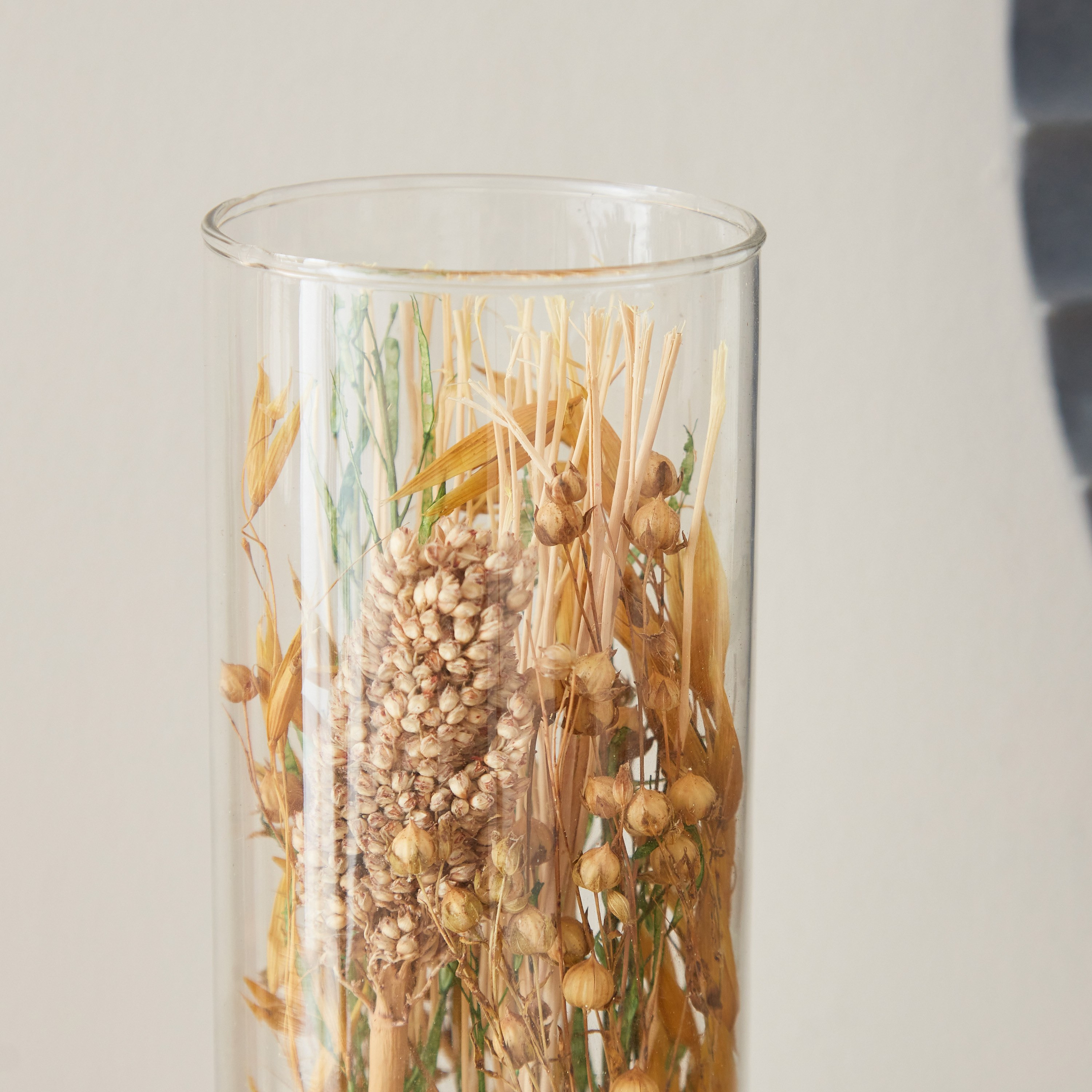 باقة أزهار مجففة في أنبوب زجاجي من أروين - 7.5x29 سم-hbxdecorandfurnishings-homeaccessories-artificialflowersandplants-image-3