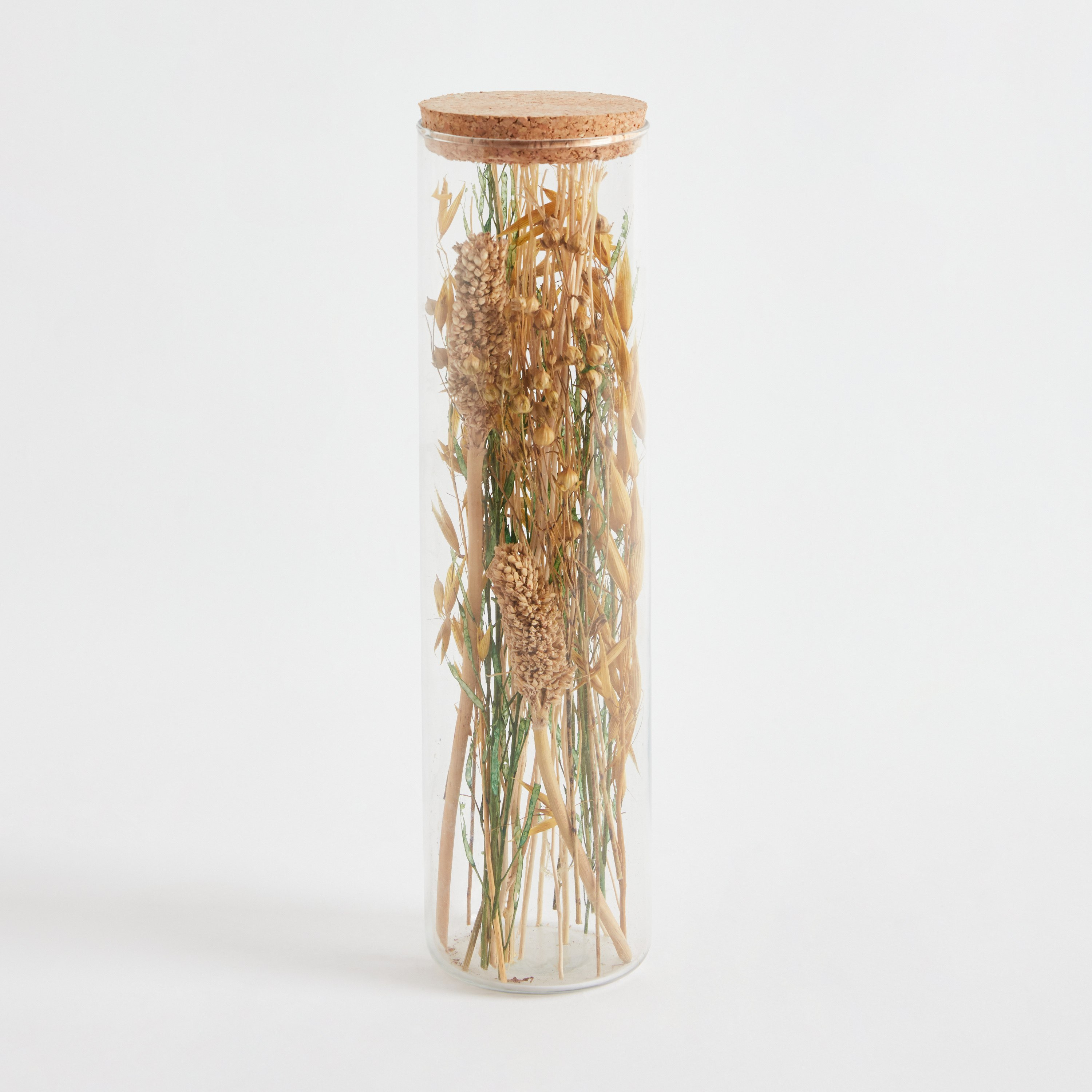 باقة أزهار مجففة في أنبوب زجاجي من أروين - 7.5x29 سم-hbxdecorandfurnishings-homeaccessories-artificialflowersandplants-image-6