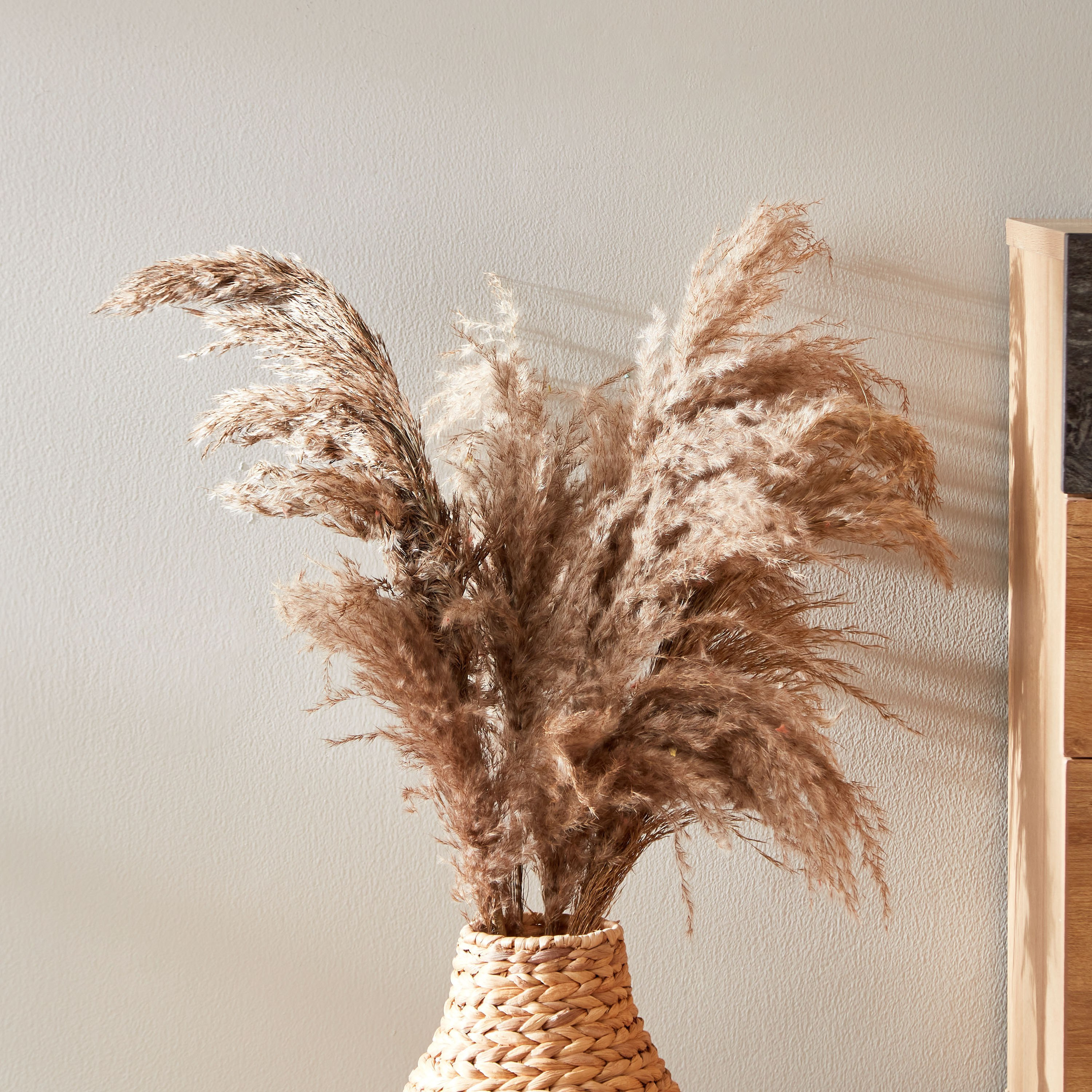 طقم أغصان بامباس مجففة 5 قطع من أروين-hbxdecorandfurnishings-homeaccessories-artificialflowersandplants-image-1