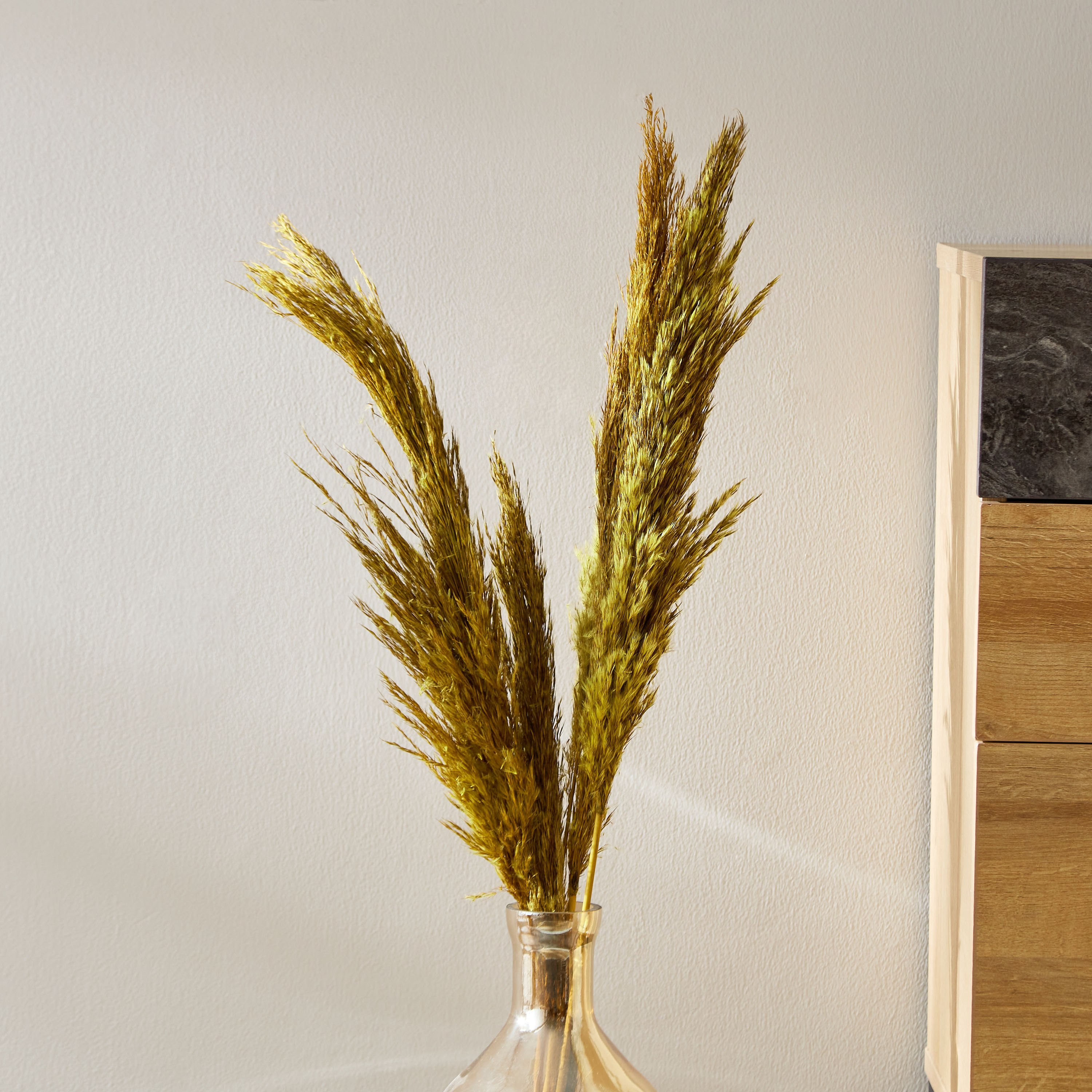 بامباس مجفف من أروين - طقم من 5 قطع-hbxdecorandfurnishings-homeaccessories-artificialflowersandplants-image-1