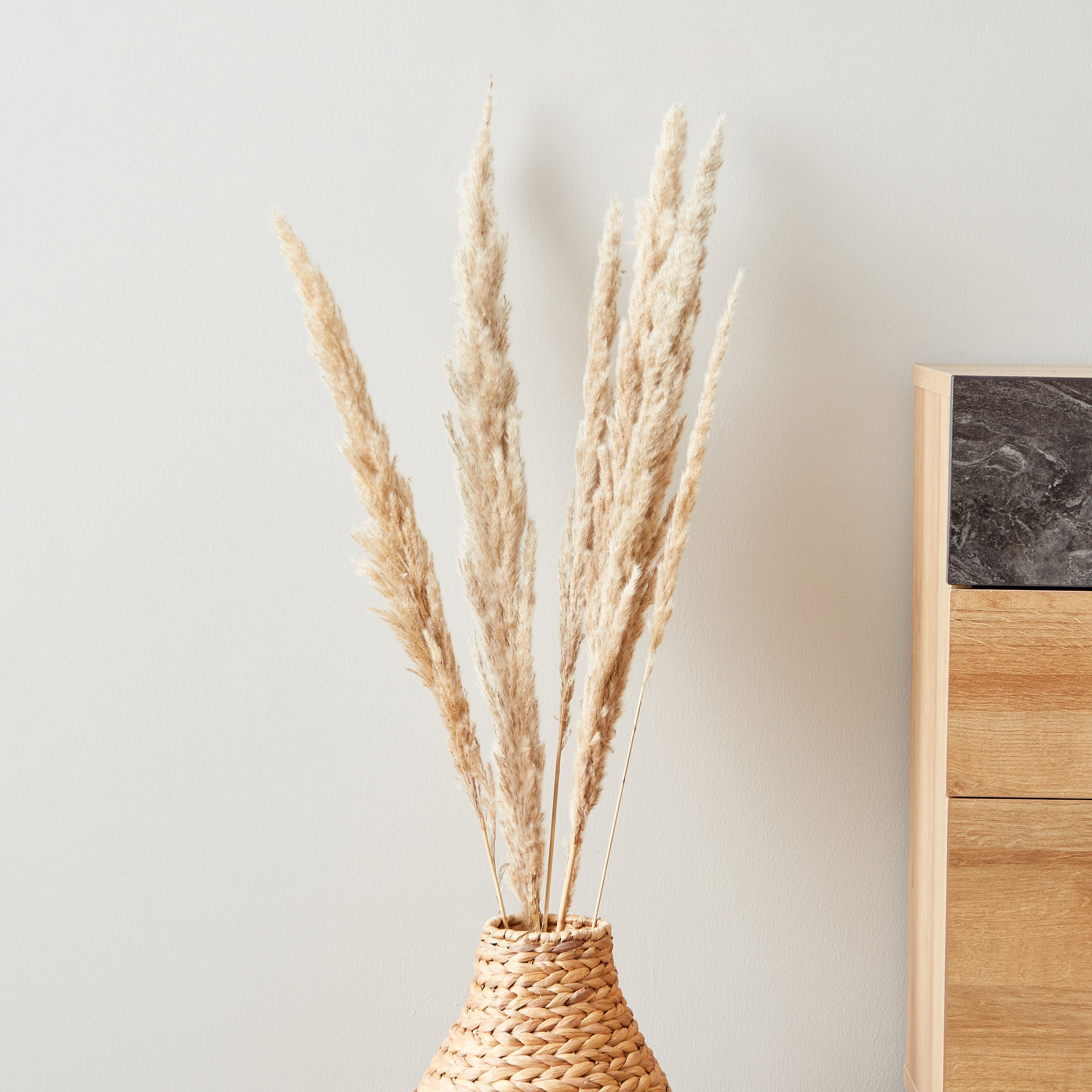 طقم أغصان بامباس مجففة 5 قطع من أروين-hbxdecorandfurnishings-homeaccessories-artificialflowersandplants-image-1