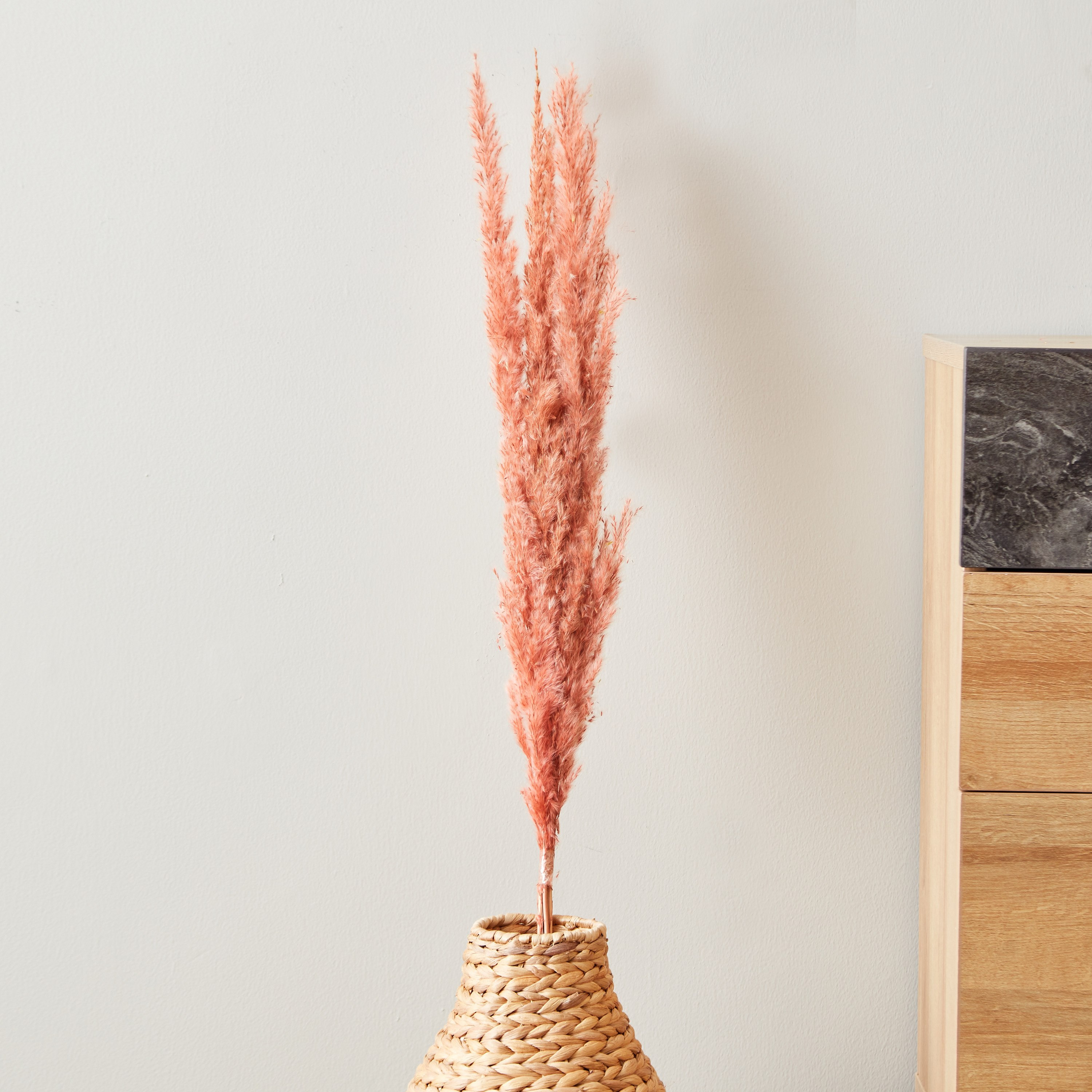 بامباس مجفف من أروين - طقم من 5 قطع-hbxdecorandfurnishings-homeaccessories-artificialflowersandplants-image-1