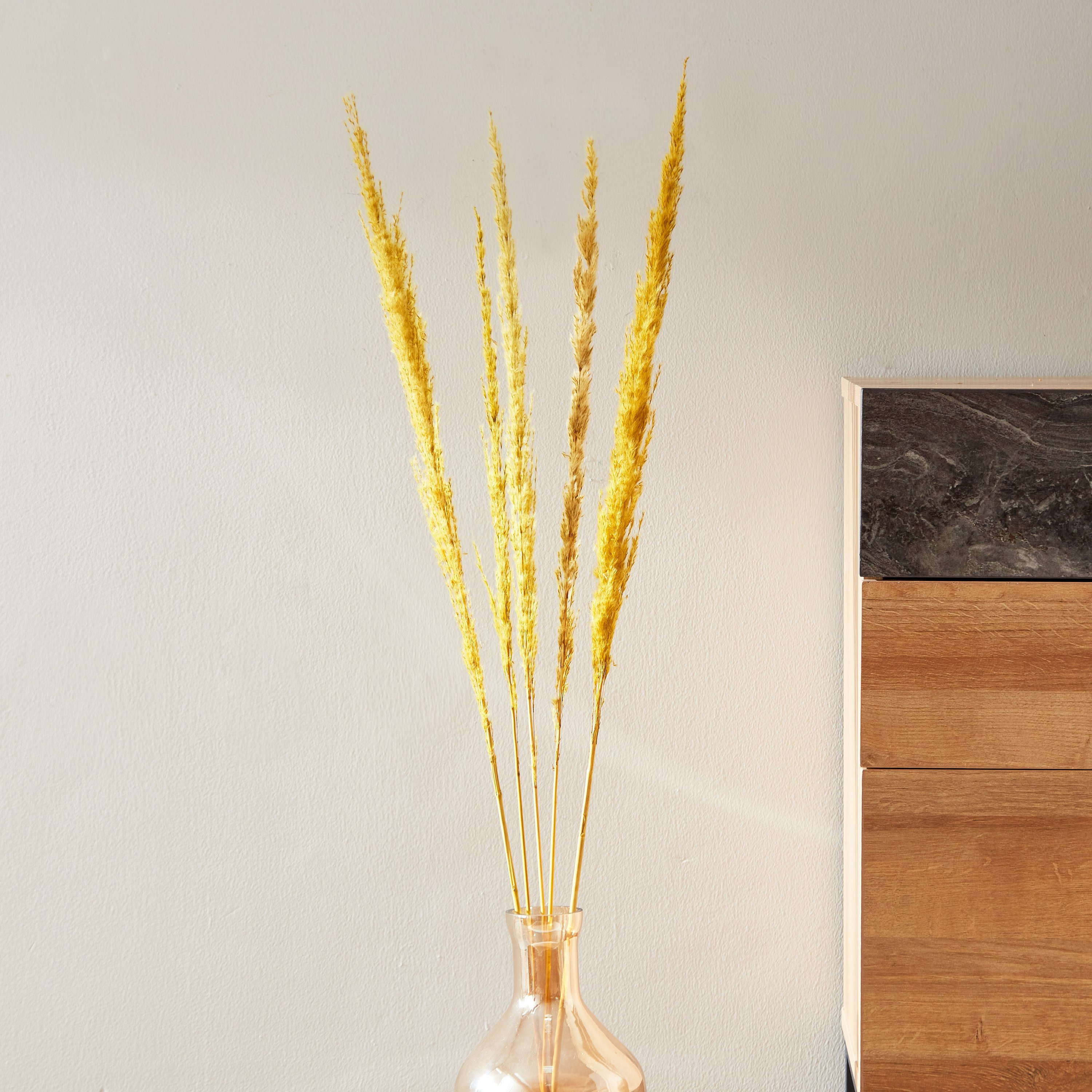 بامباس مجفف من أروين - طقم من 5 قطع-hbxdecorandfurnishings-homeaccessories-artificialflowersandplants-image-1
