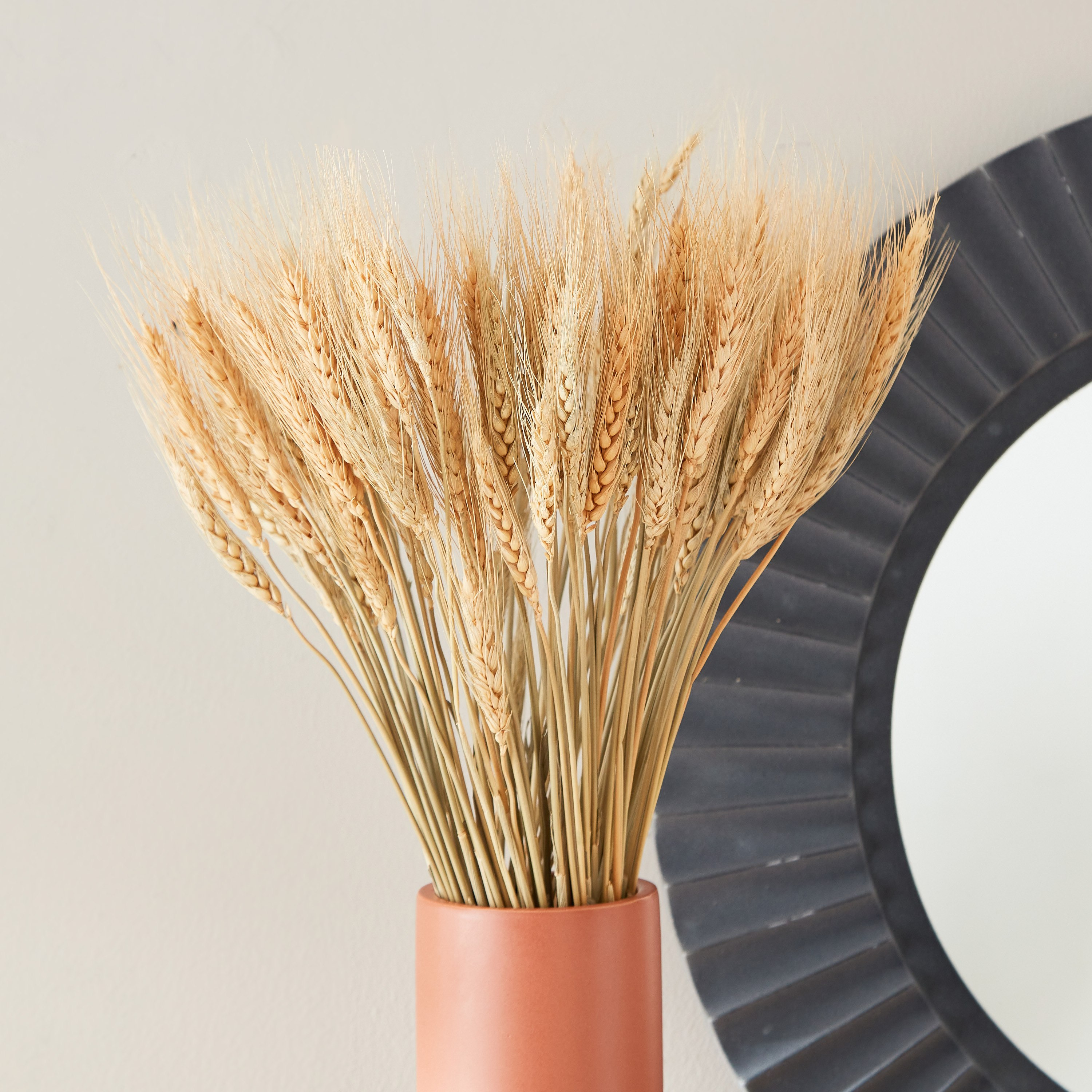 باقة عشب القمح مجففة من أروين - 60 سم-hbxdecorandfurnishings-homeaccessories-artificialflowersandplants-image-1
