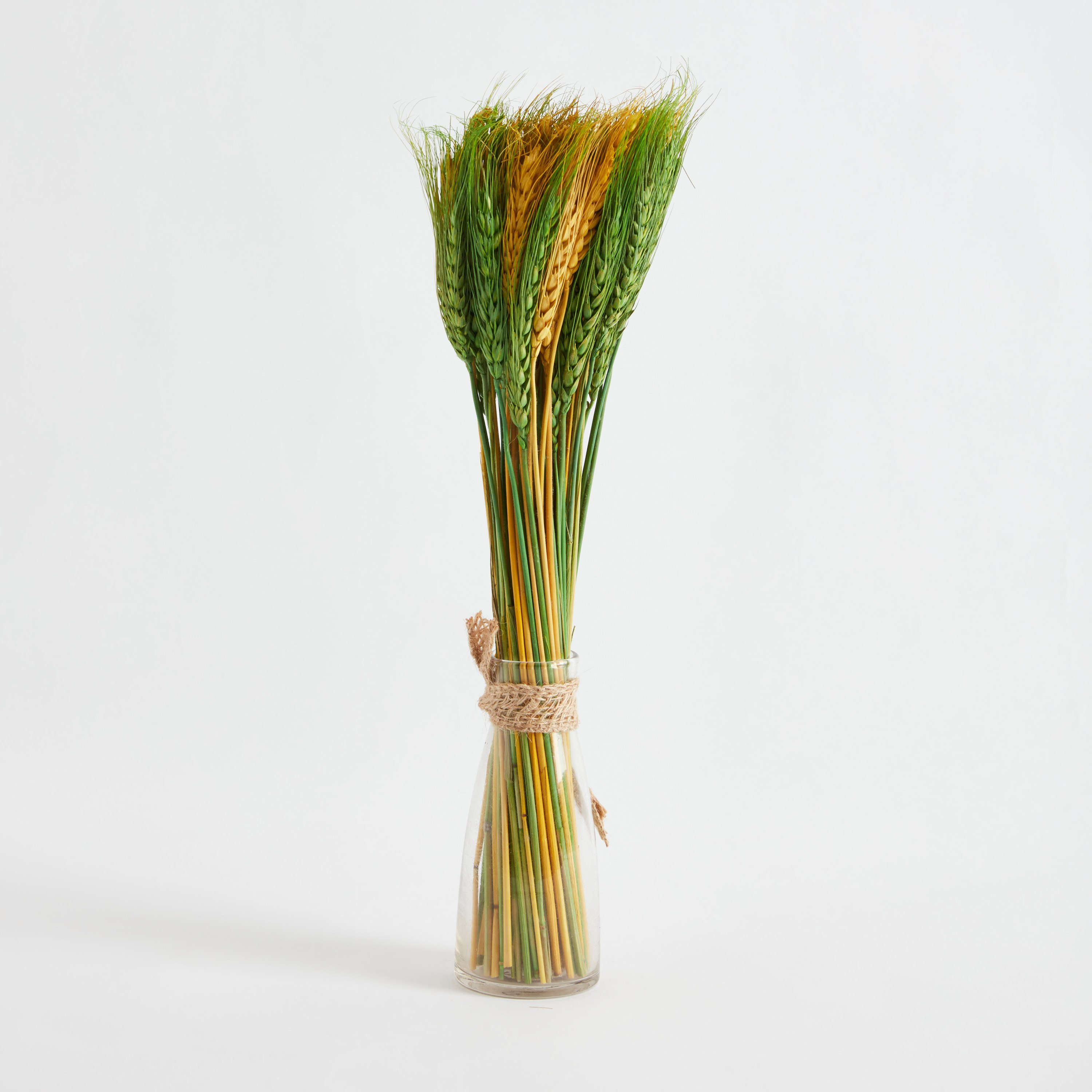 عشب القمح داخل مزهرية زجاج من أروين - 40 سم-hbxdecorandfurnishings-homeaccessories-artificialflowersandplants-image-5