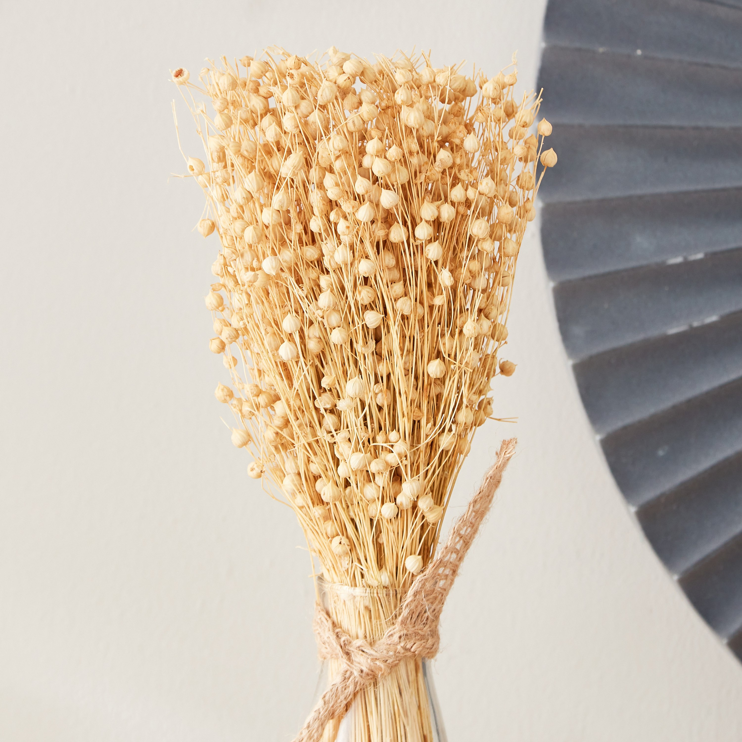عشب بذور الكتان في مزهرية زجاجية من أروين - 35 سم-hbxdecorandfurnishings-homeaccessories-artificialflowersandplants-image-2