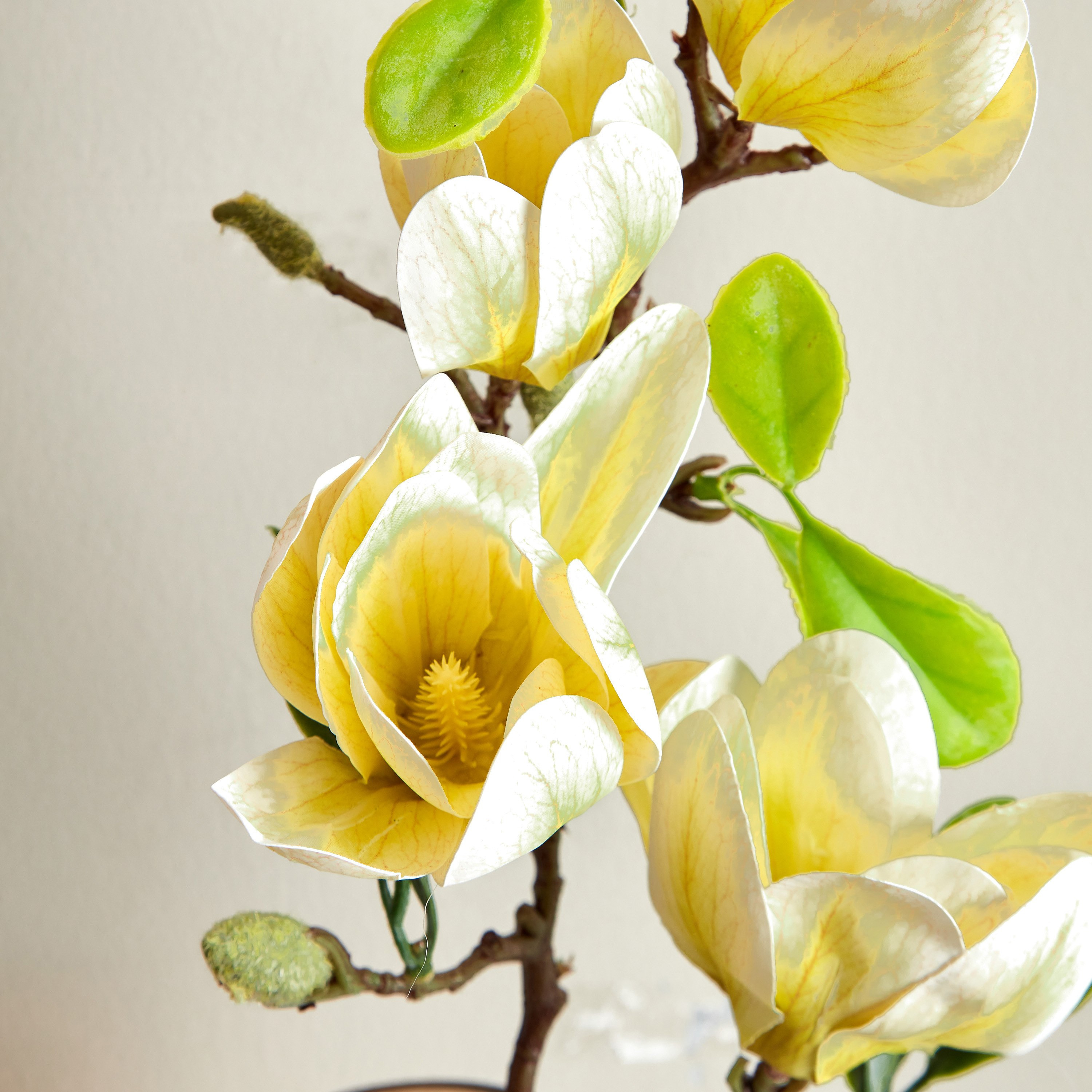 جذع زهرة ماجنوليا 4 رؤوس من آريا - 66 سم-hbxdecorandfurnishings-homeaccessories-artificialflowersandplants-image-3