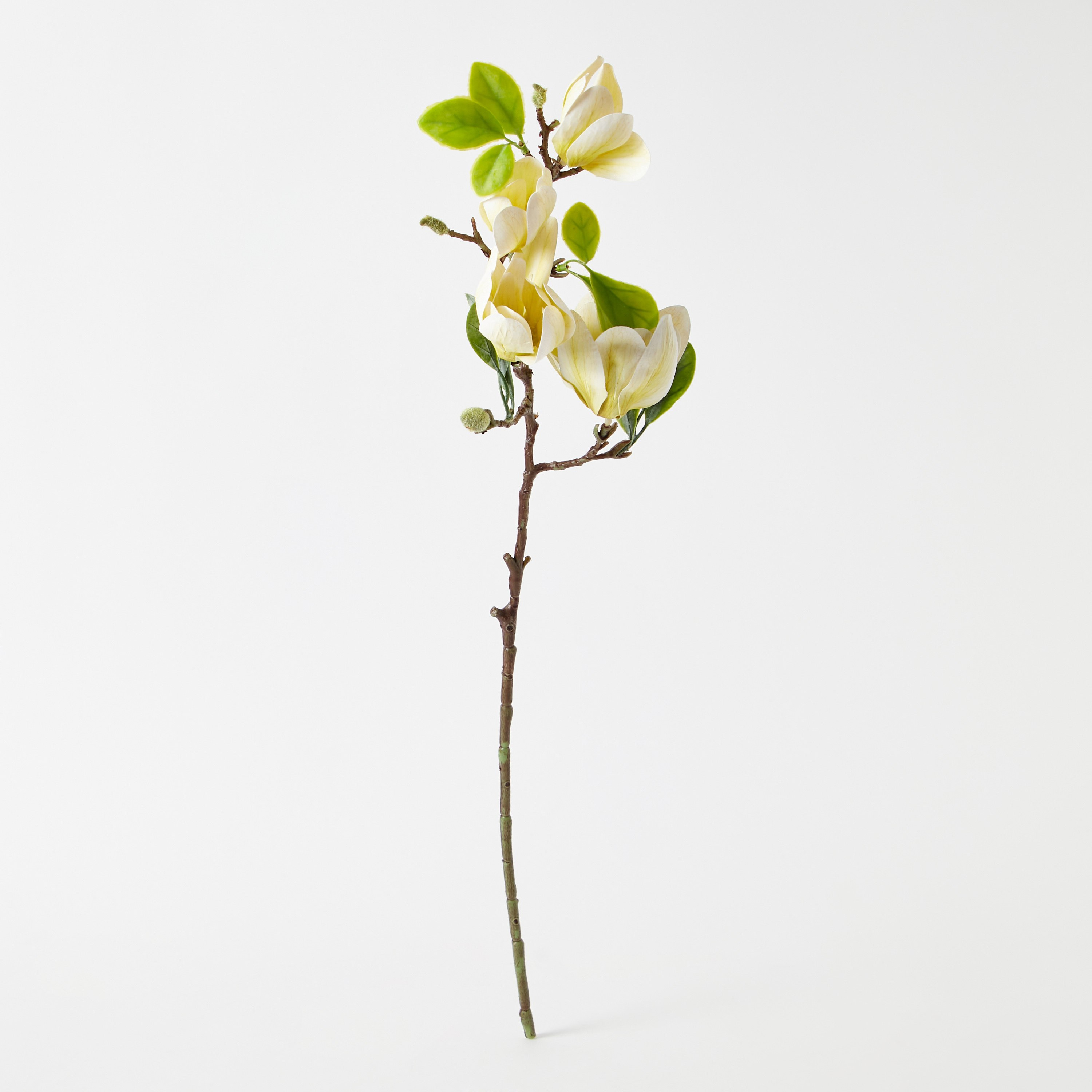 جذع زهرة ماجنوليا 4 رؤوس من آريا - 66 سم-hbxdecorandfurnishings-homeaccessories-artificialflowersandplants-image-5