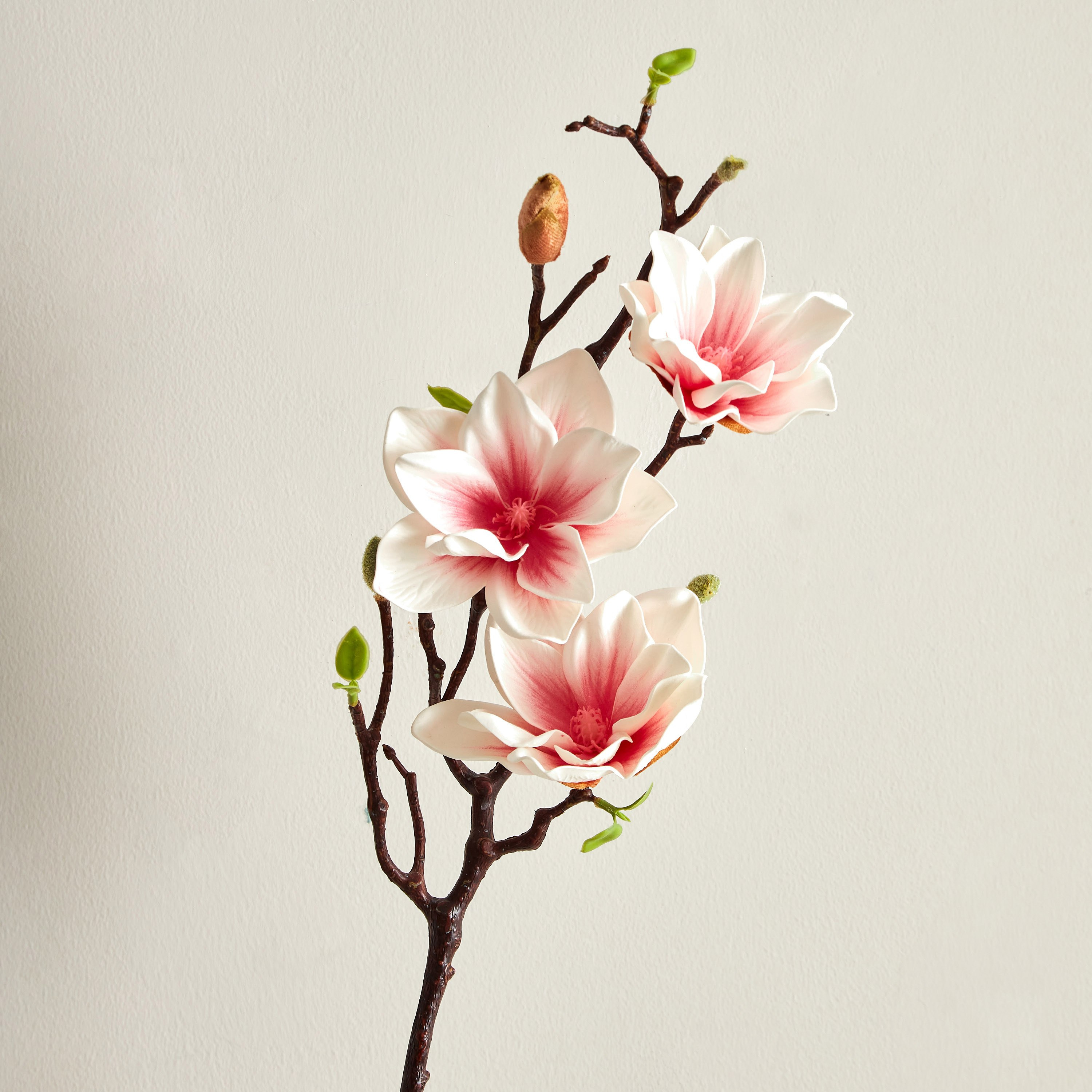 جذع زهرة الكابوك 3 رؤوس من آريا - 85 سم-hbxdecorandfurnishings-homeaccessories-artificialflowersandplants-image-2