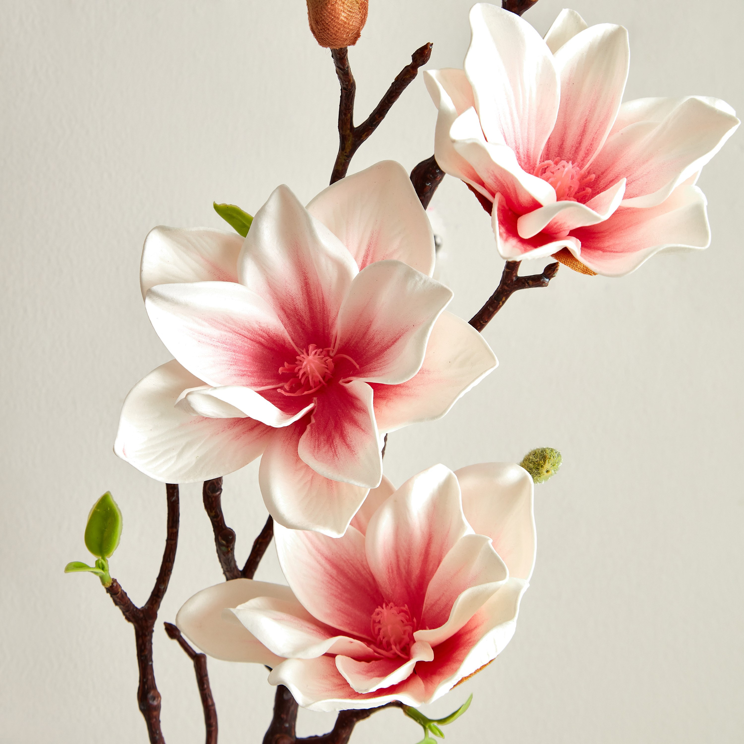 جذع زهرة الكابوك 3 رؤوس من آريا - 85 سم-hbxdecorandfurnishings-homeaccessories-artificialflowersandplants-image-3