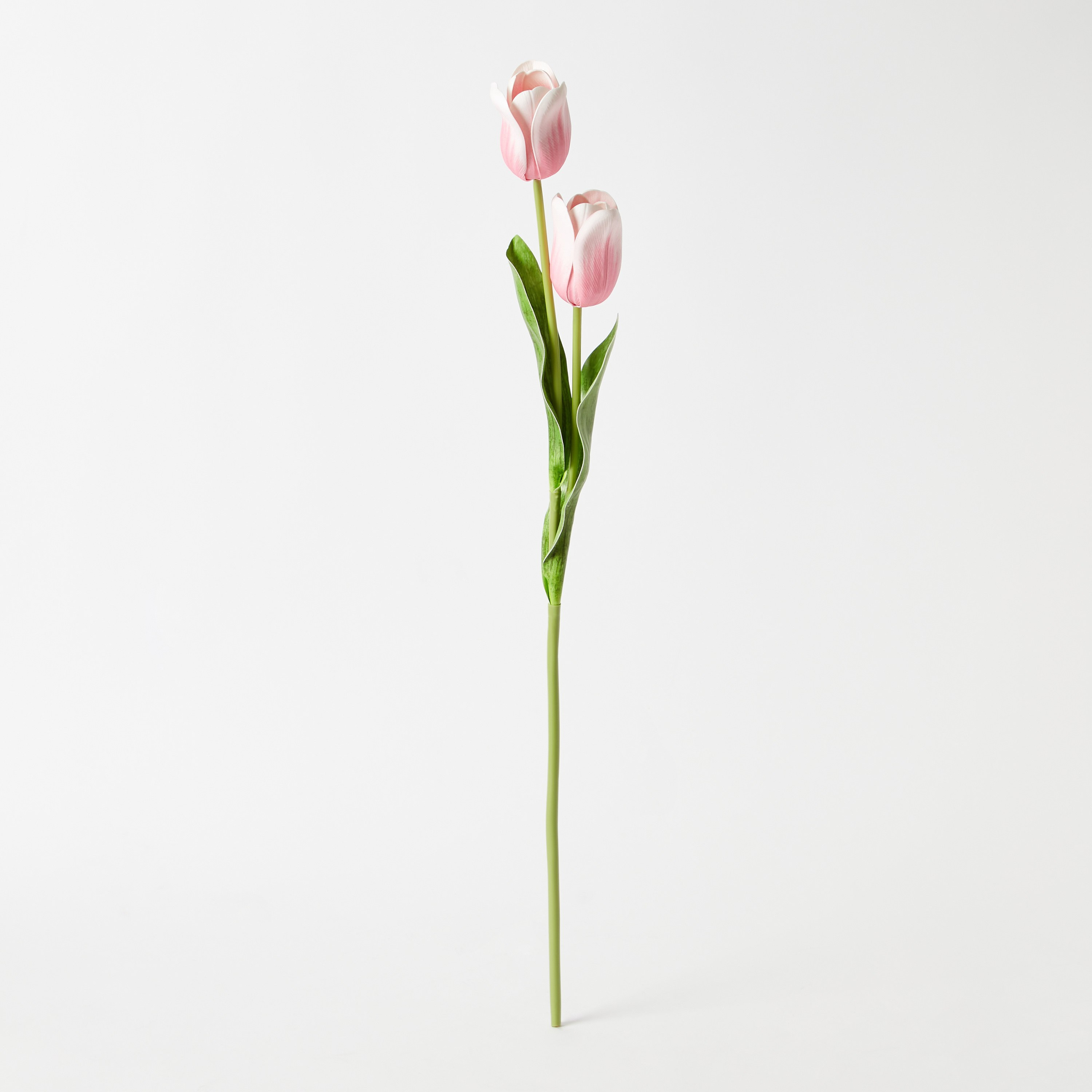 جذع زهرة تيوليب برأسين من آريا - 72 سم-hbxdecorandfurnishings-homeaccessories-artificialflowersandplants-image-5