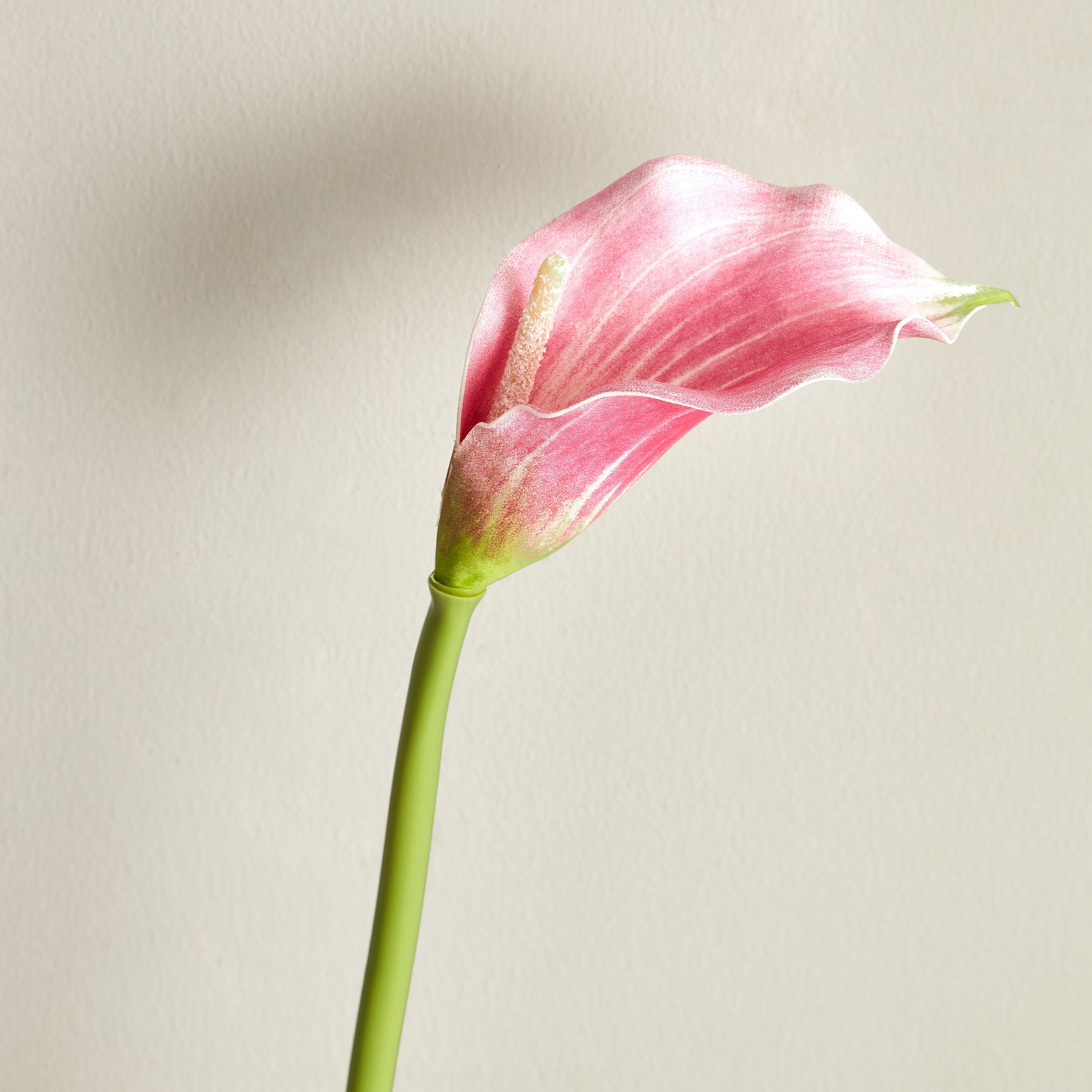 جذع زهرة كالا لي لي من آريا - 72 سم-hbxdecorandfurnishings-homeaccessories-artificialflowersandplants-image-2