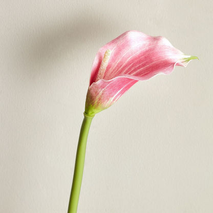 Aria Cala Lilly Flower Stem - 72 cm