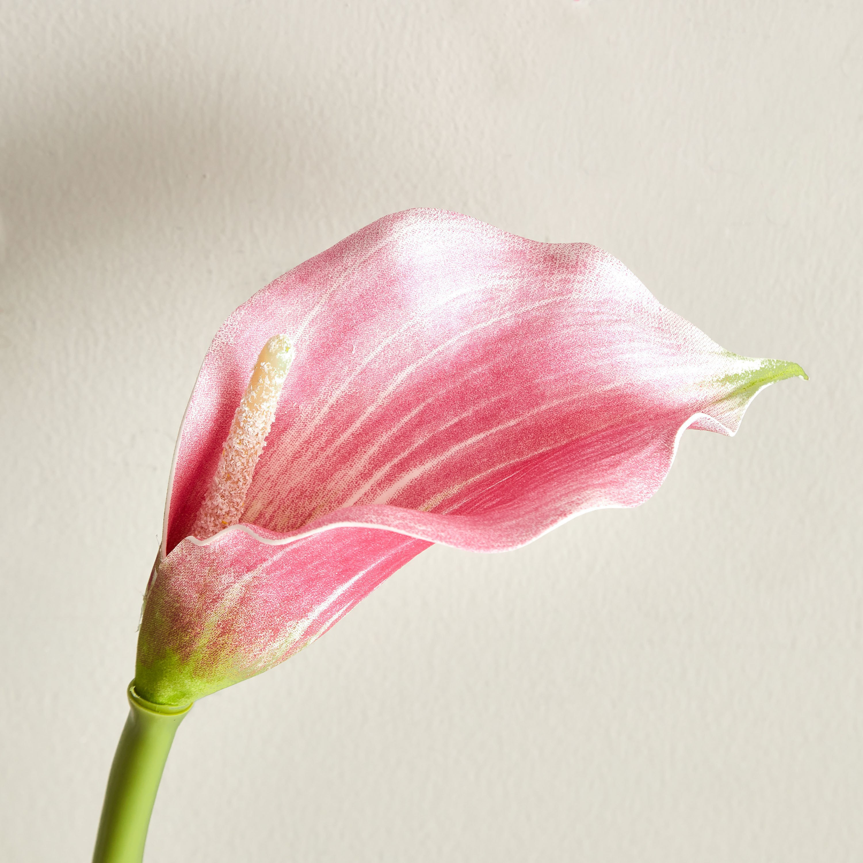 جذع زهرة كالا لي لي من آريا - 72 سم-hbxdecorandfurnishings-homeaccessories-artificialflowersandplants-image-3