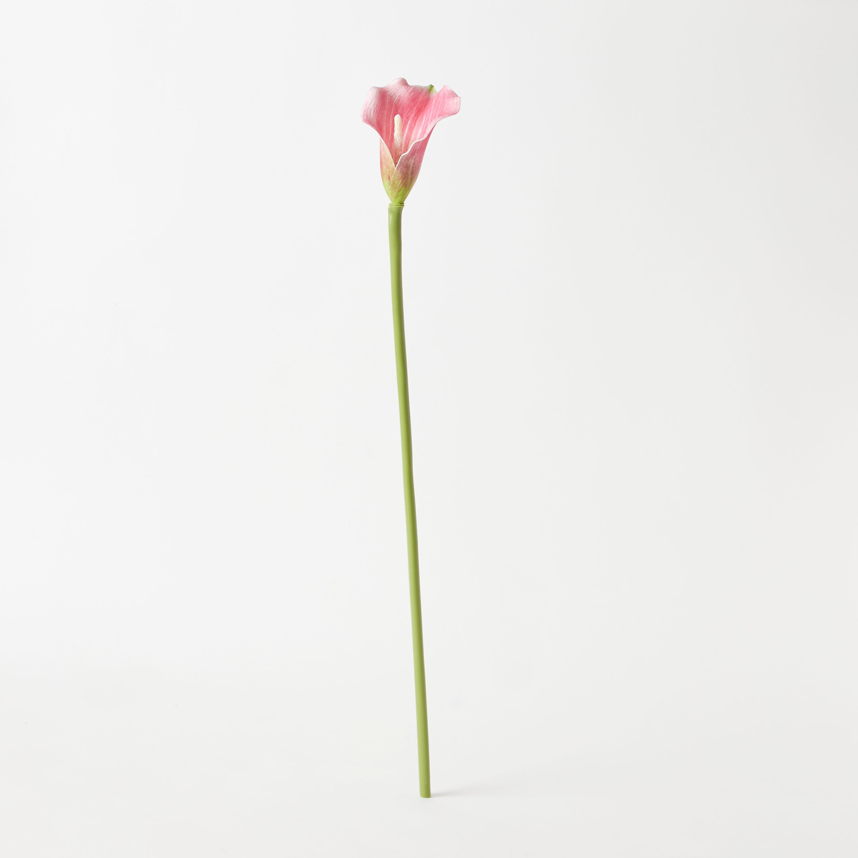 جذع زهرة كالا لي لي من آريا - 72 سم-hbxdecorandfurnishings-homeaccessories-artificialflowersandplants-image-5