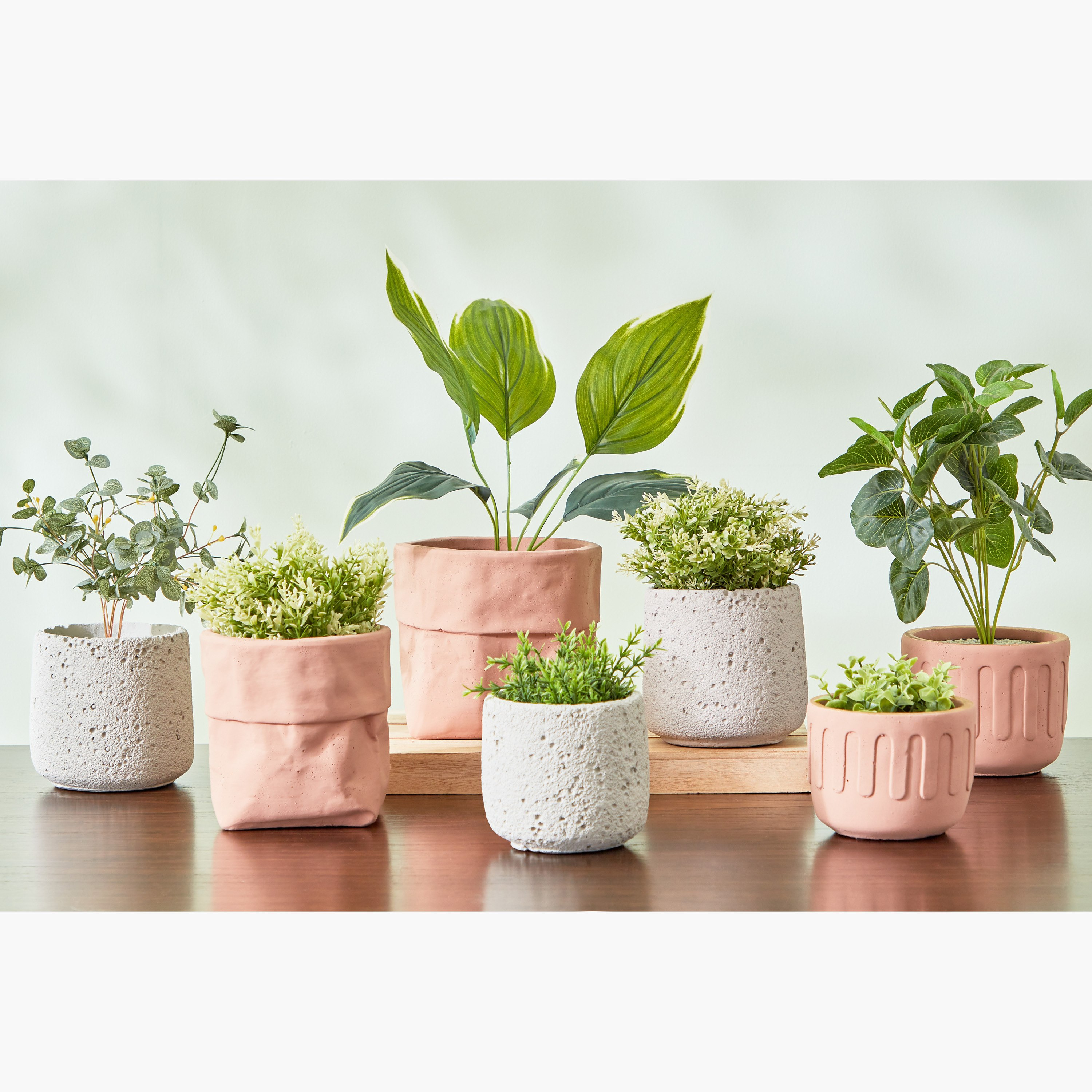 إناء زرع سيراميك من سيارا - 15x15x14 سم-hbxdecorandfurnishings-homeaccessories-artificialflowersandplants-image-4