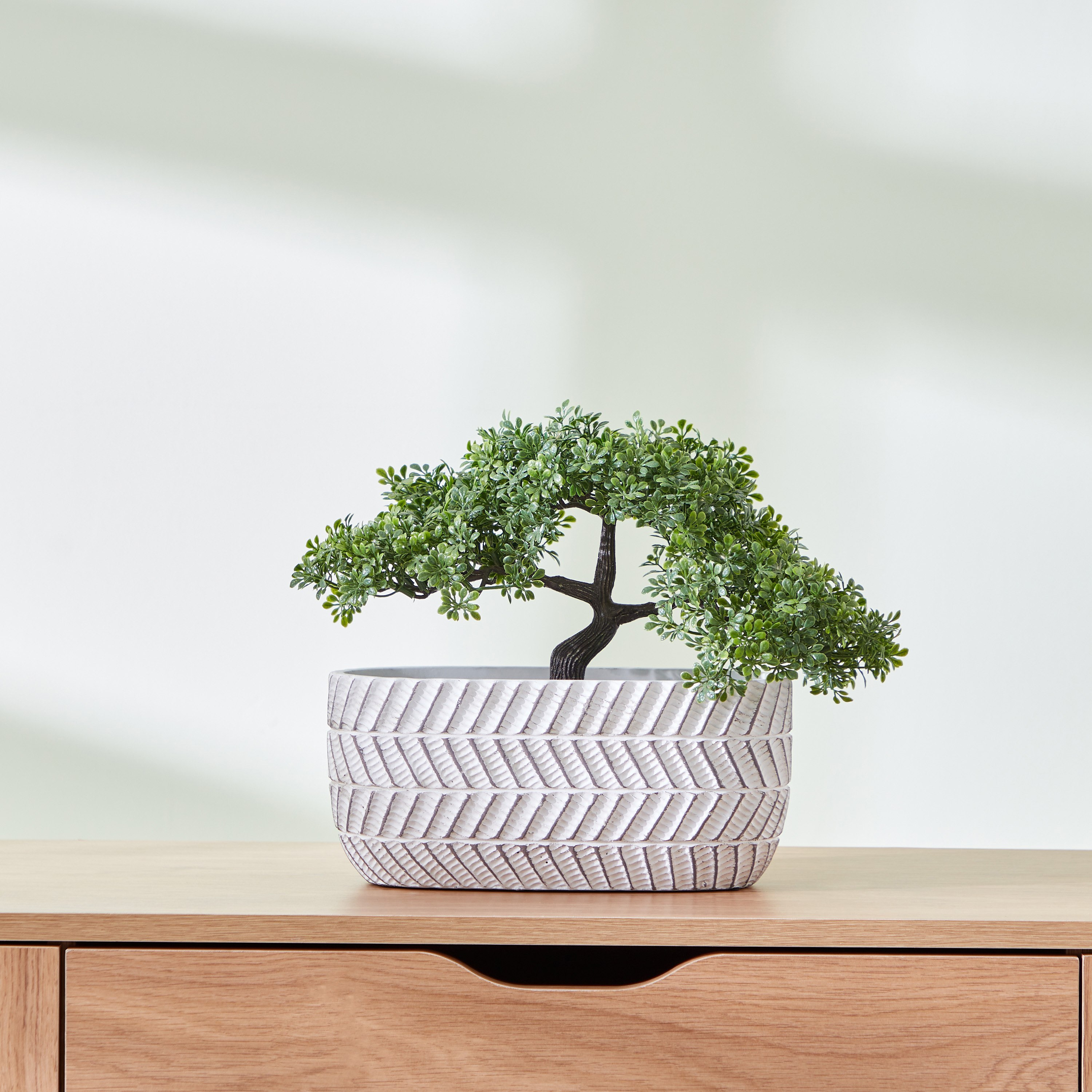 إناء زرع سيراميك مضلّع من سيارا - 26.5x12.5x12 سم-hbxhomeware-hbxdecorandfurnishings-image-1