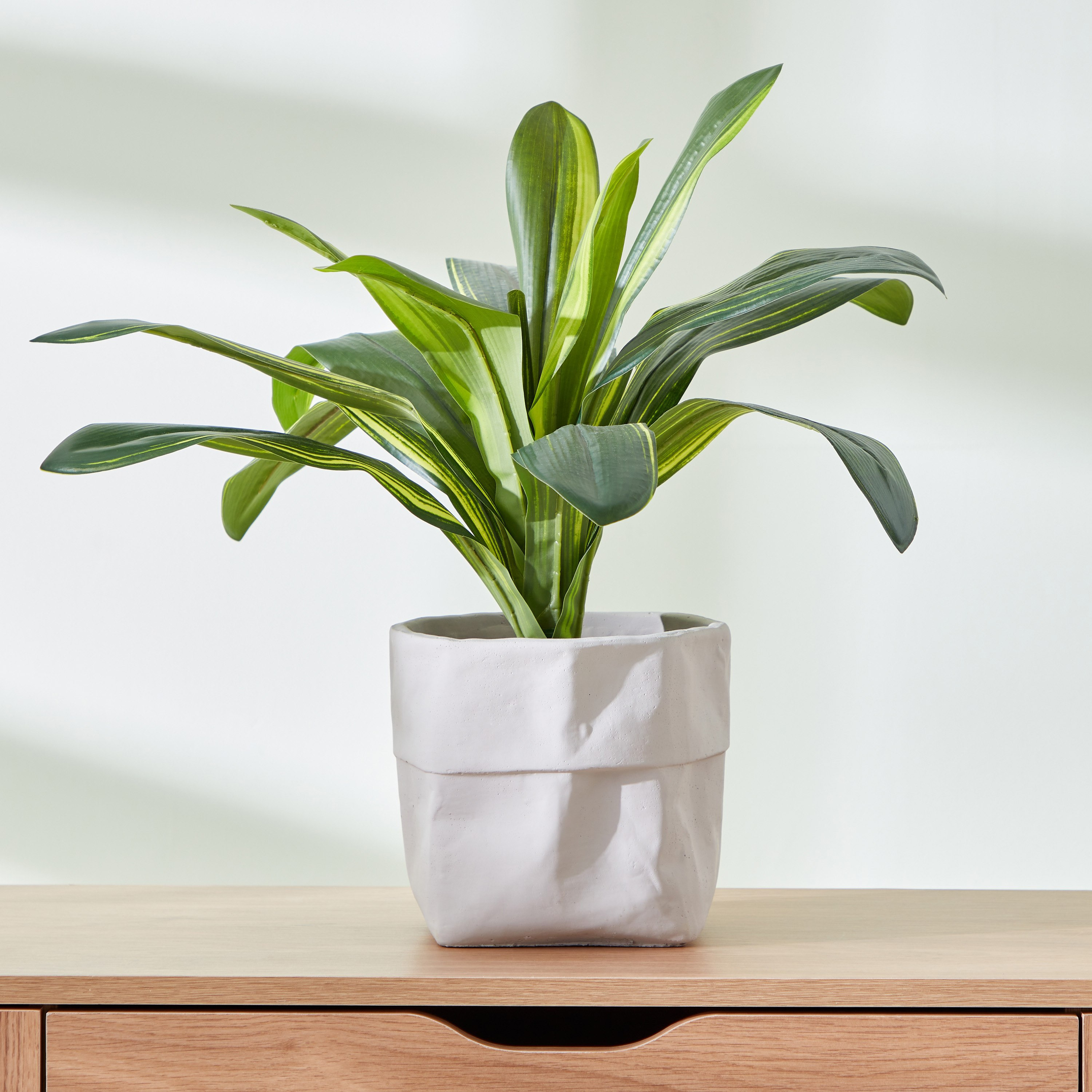 إناء زرع سيراميك من سيارا - 19x19x18 سم-hbxdecorandfurnishings-homeaccessories-artificialflowersandplants-image-1