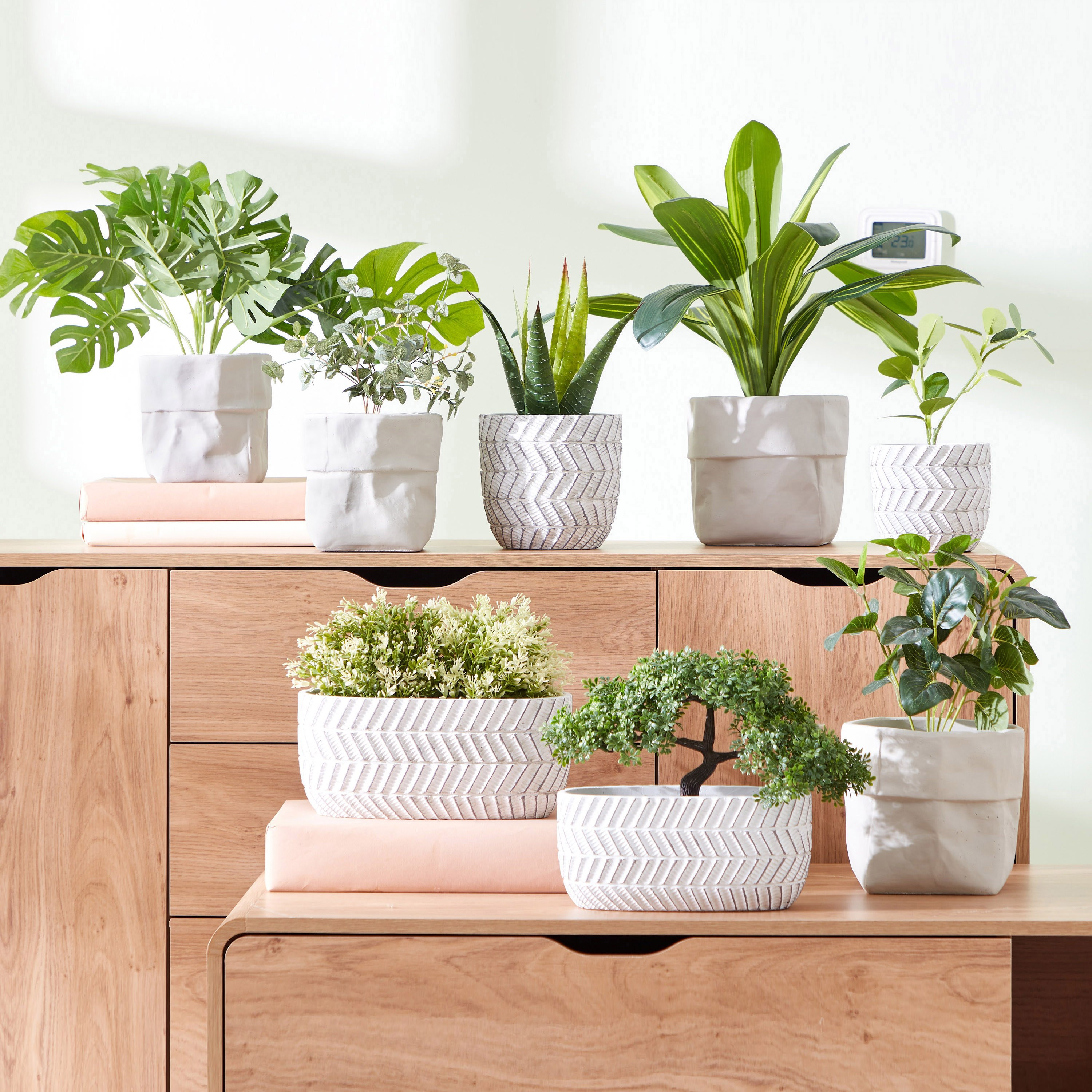 إناء زرع سيراميك من سيارا - 19x19x18 سم-hbxdecorandfurnishings-homeaccessories-artificialflowersandplants-image-5