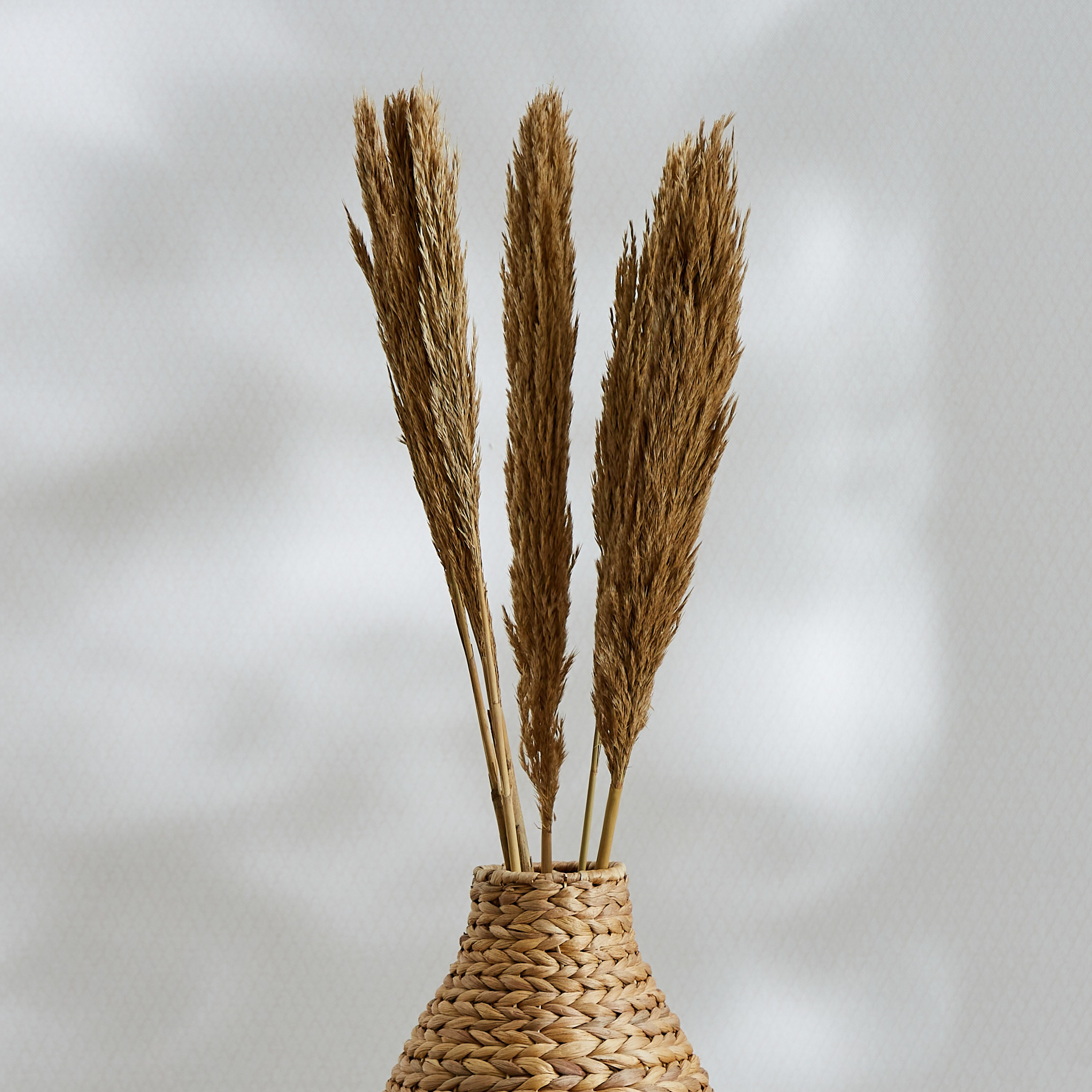 باقة نبات نانال طويلة من مايلي - 85 سم-hbxdecorandfurnishings-homeaccessories-artificialflowersandplants-image-1