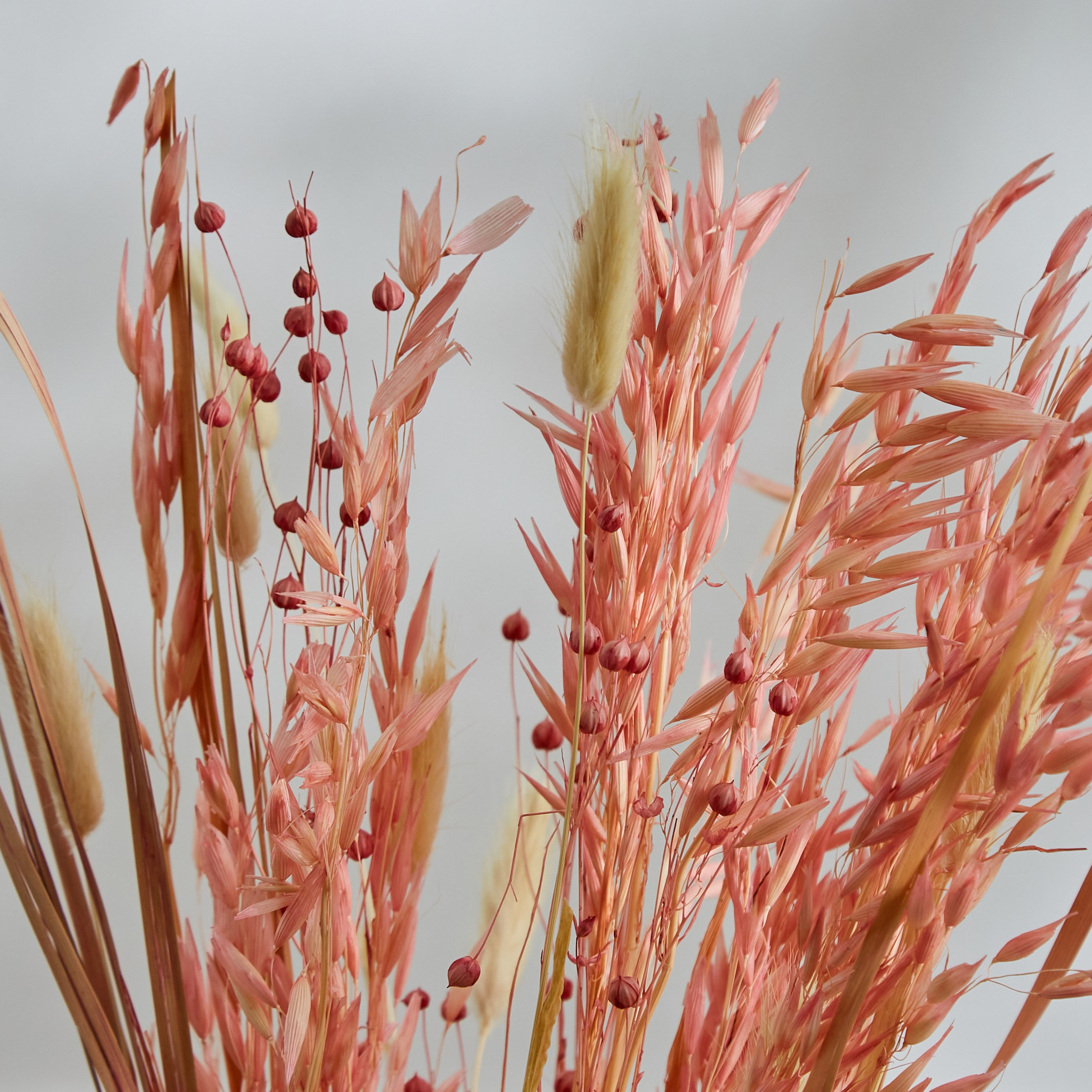 عشب أفانا مجفف من مايلي - 60 سم-hbxdecorandfurnishings-homeaccessories-artificialflowersandplants-image-2