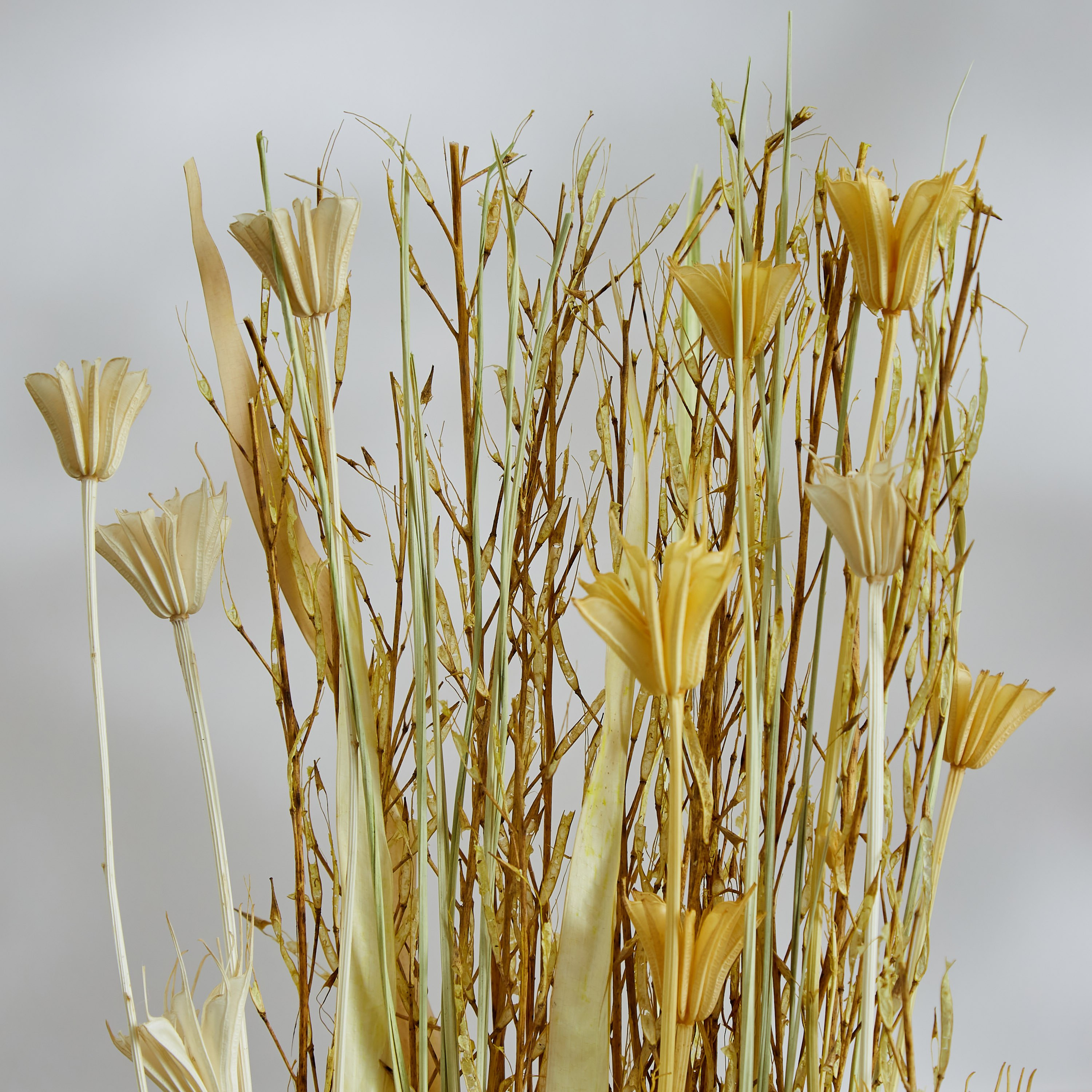 أوراق زينة مجففة من مايلي - 60 سم-hbxdecorandfurnishings-homeaccessories-artificialflowersandplants-image-2